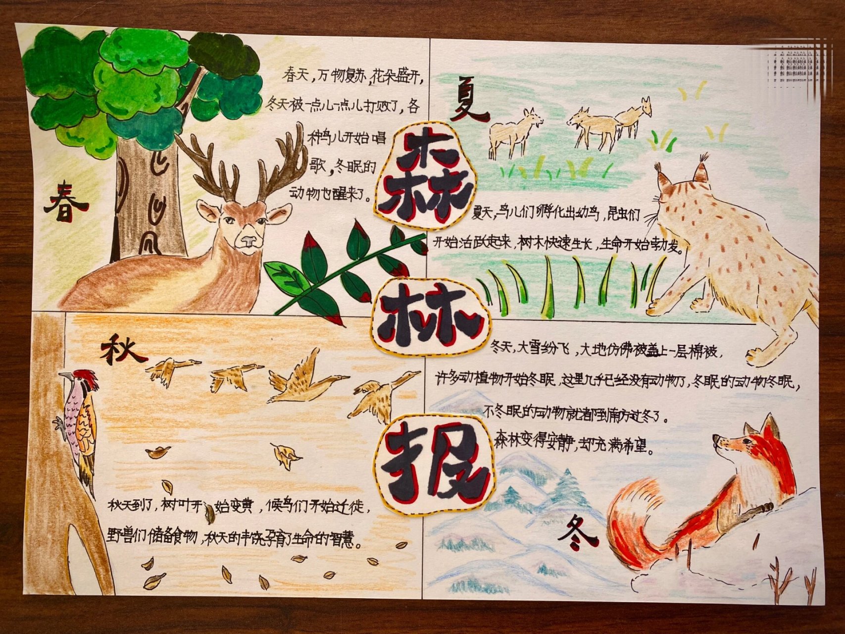 森林报读书小报