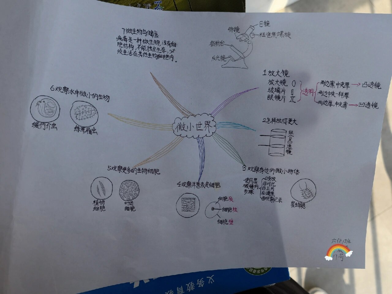 《微小世界》思维导图图片