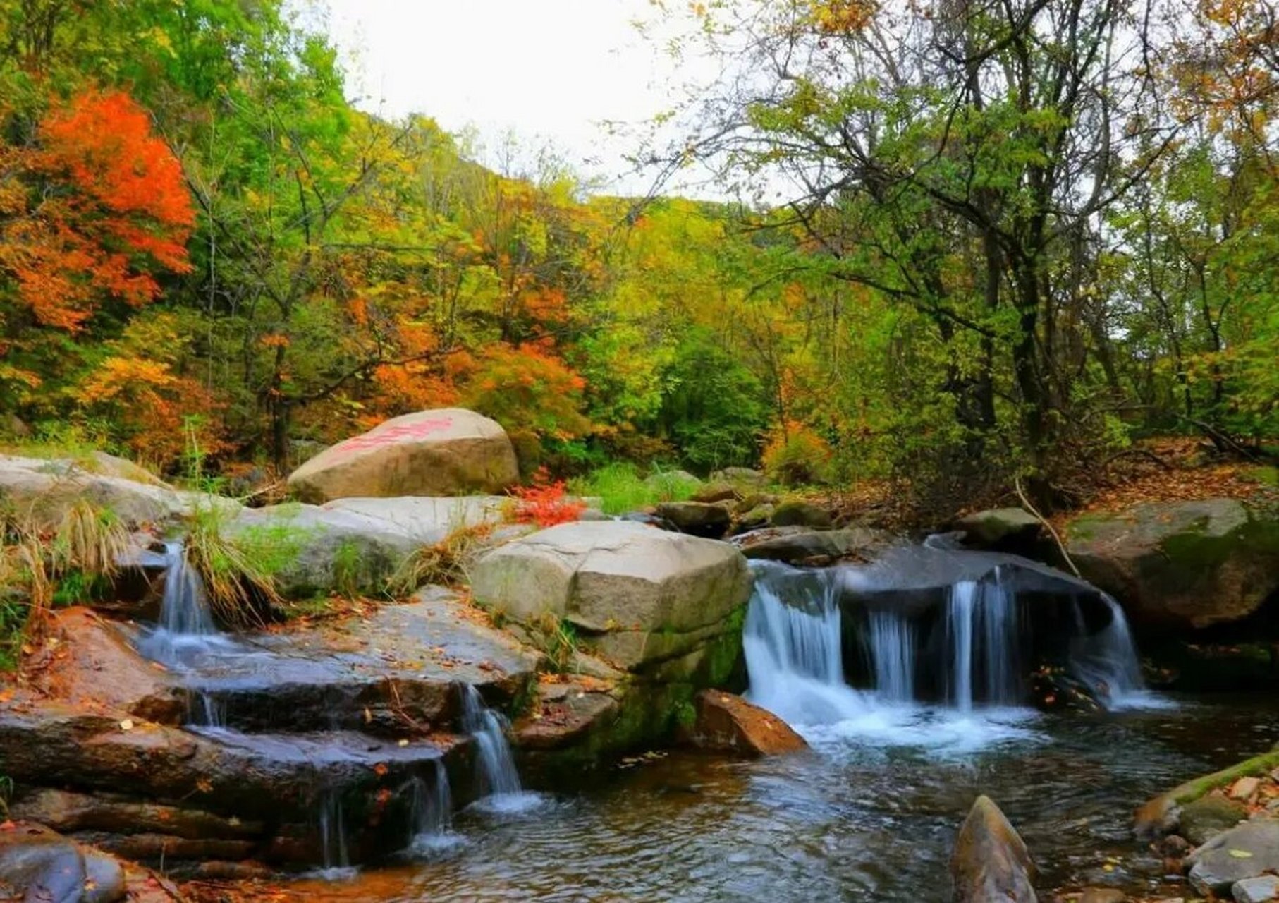 抚顺白鹭岛风景区门票图片