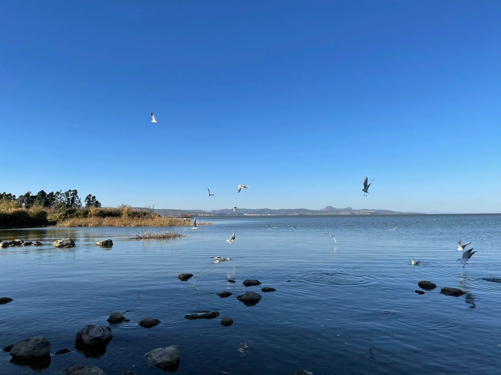 呈贡,晋宁湿地公园探秘-尽享自然之美 呼朋唤友,一起来探访呈贡,晋宁