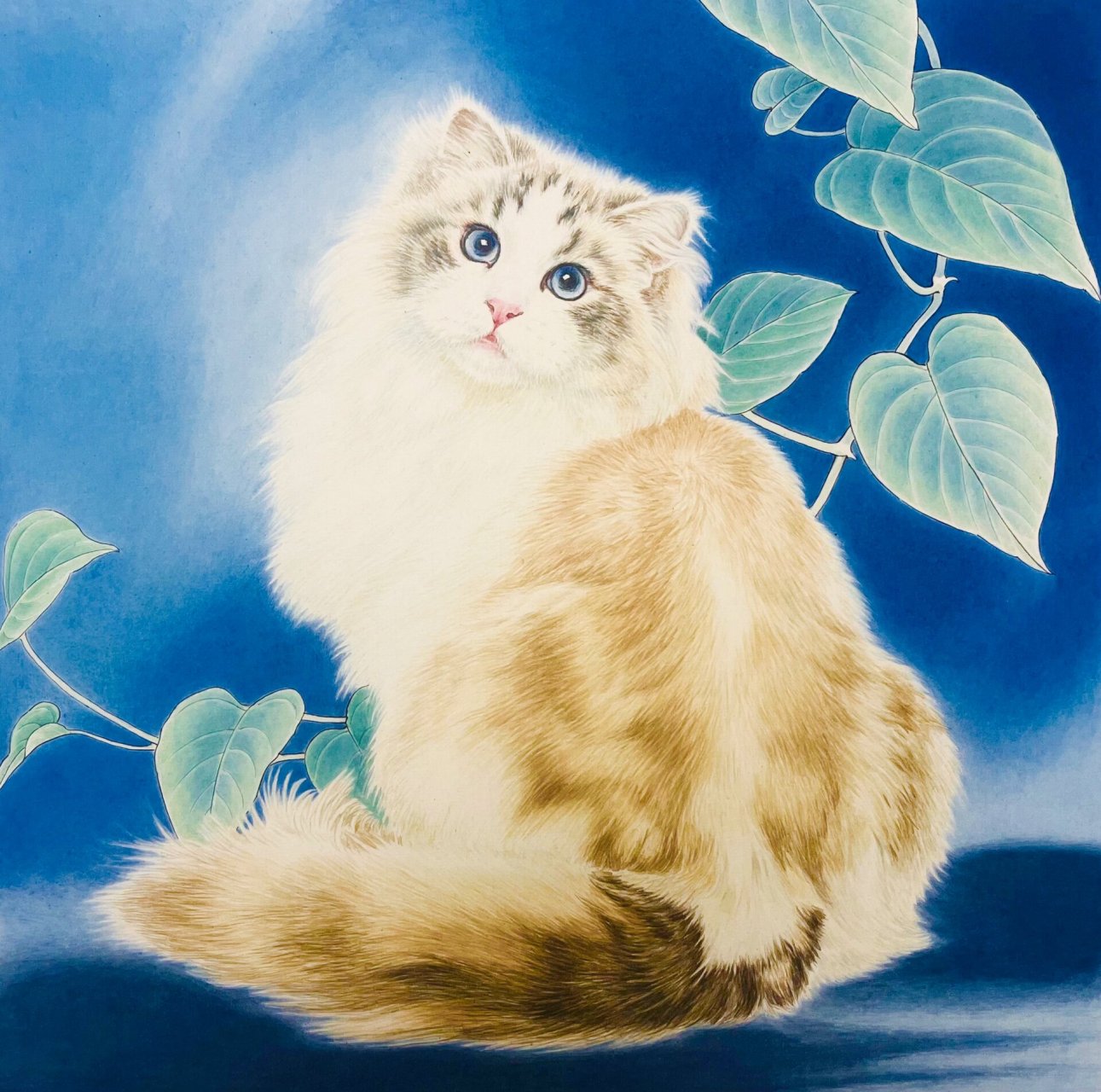 国画猫 工笔画猫 画喵 布偶猫 采用立体丝毛工笔技法