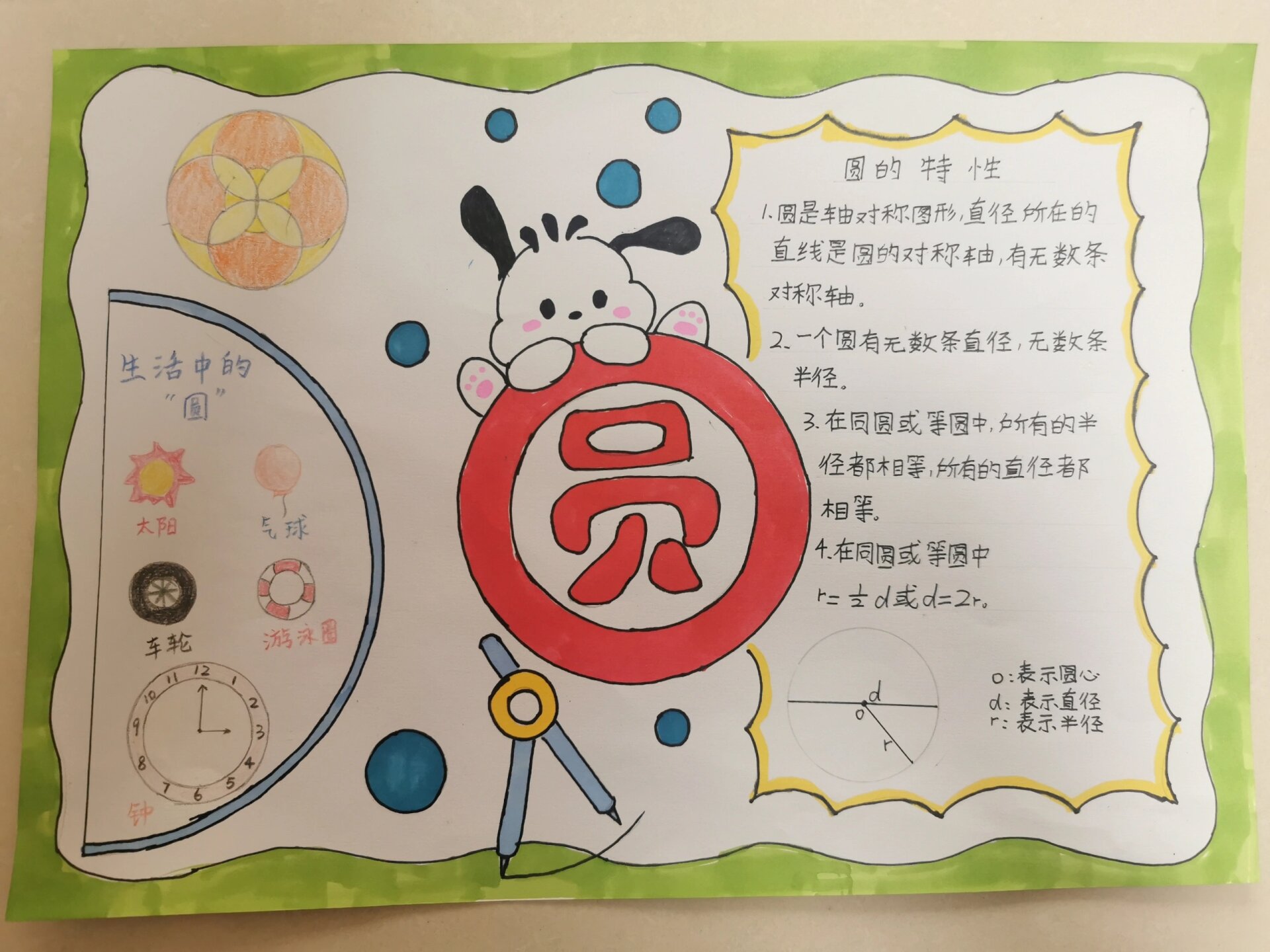 四年级数学圆的小报