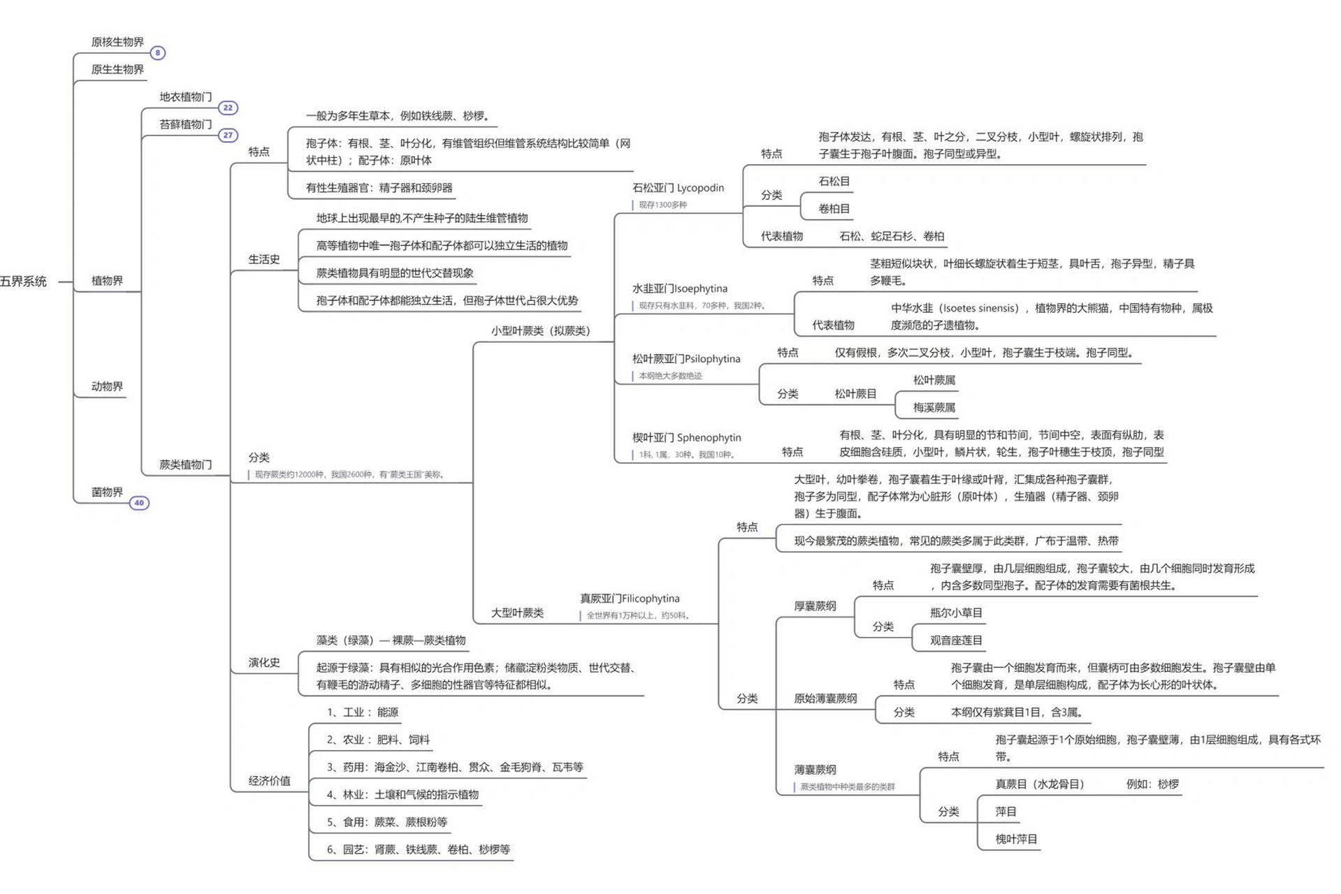 植物分类思维导图图片