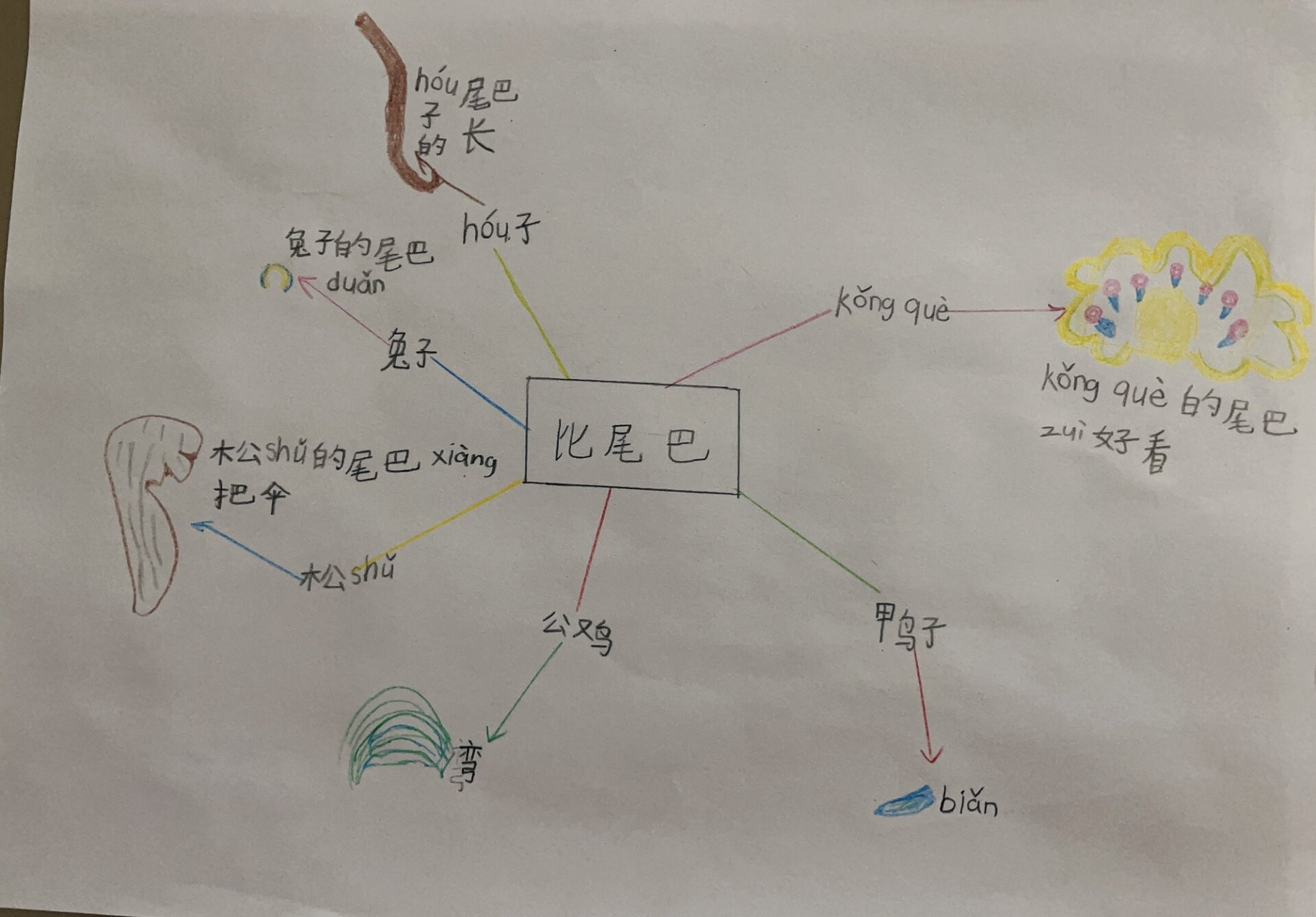 比尾巴的思维导图图片