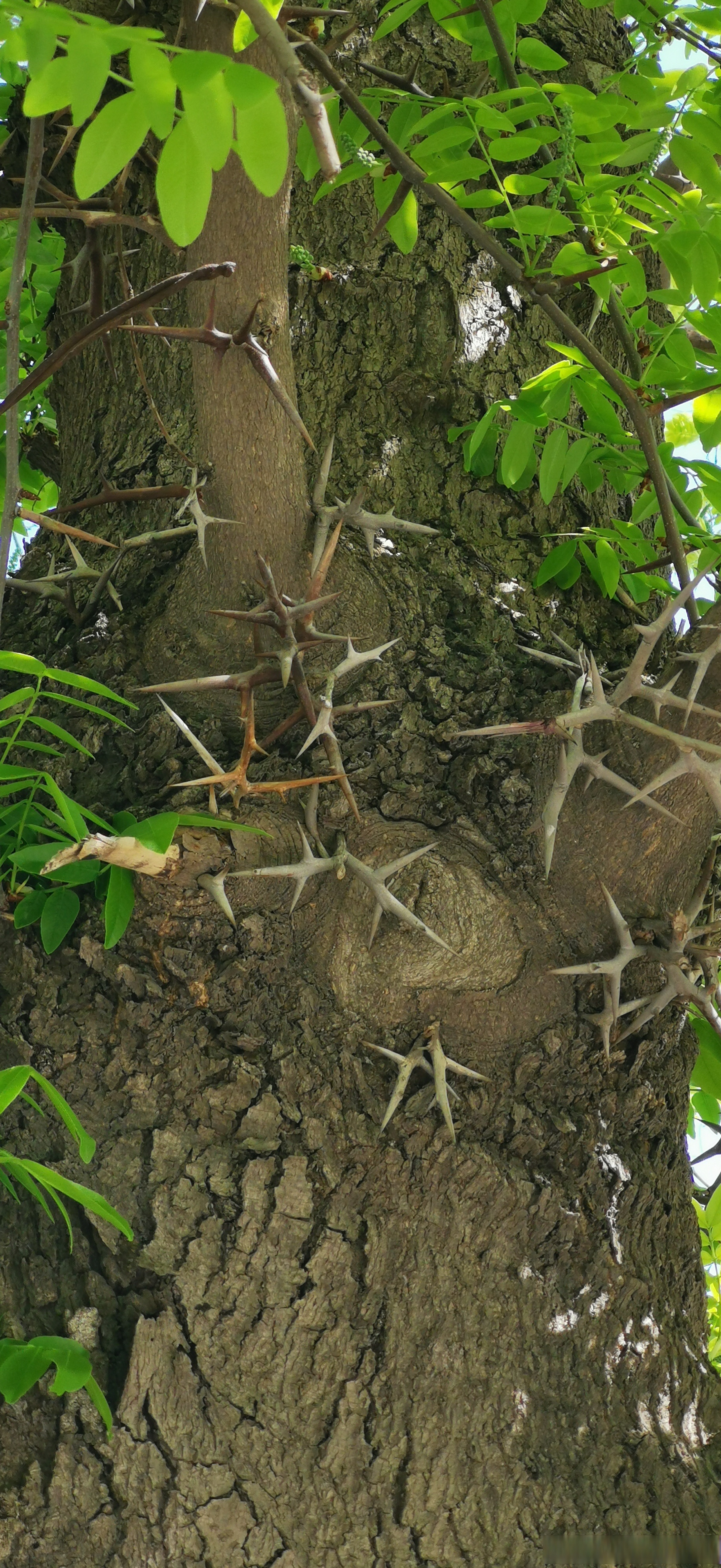 多想解决办法不等于逆来顺受,该骂人就骂人,身上