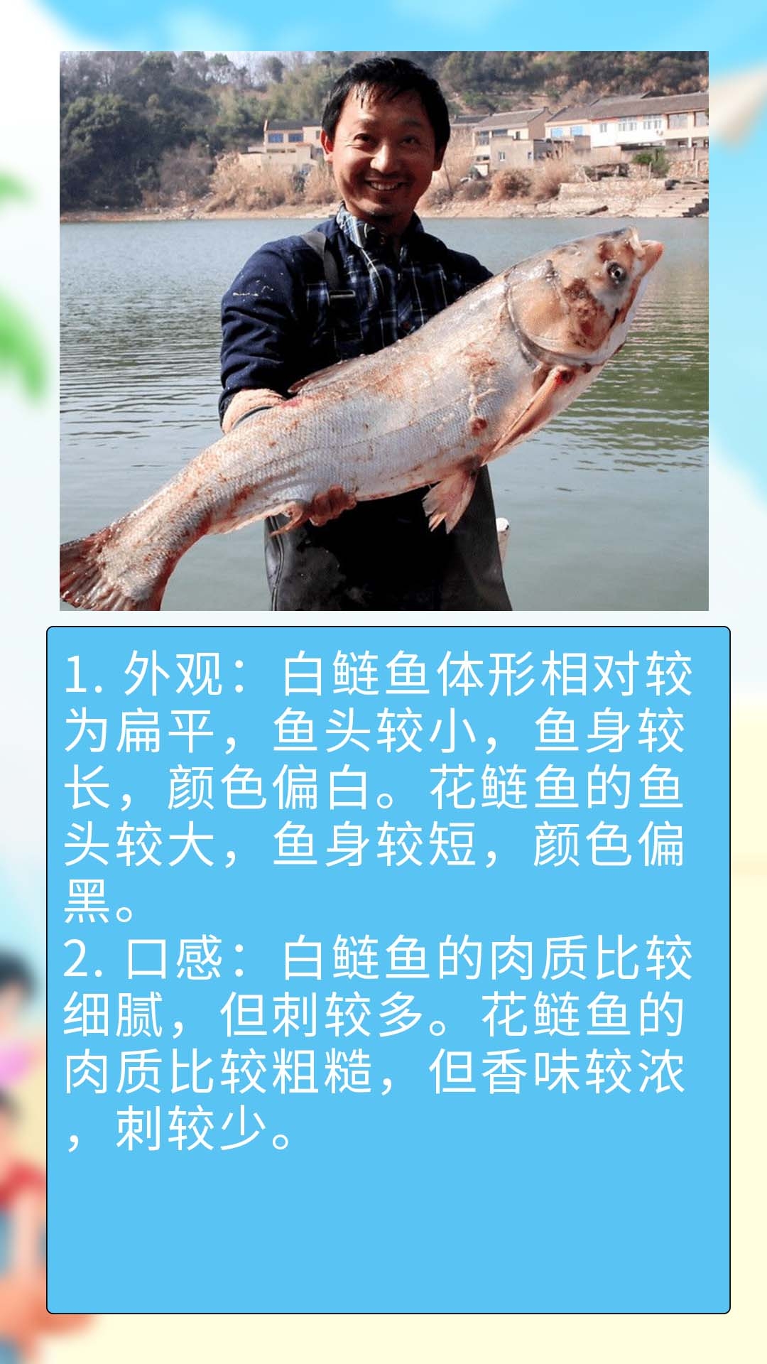 花鲢鱼的鱼头较大,鱼身较短,颜色偏黑.