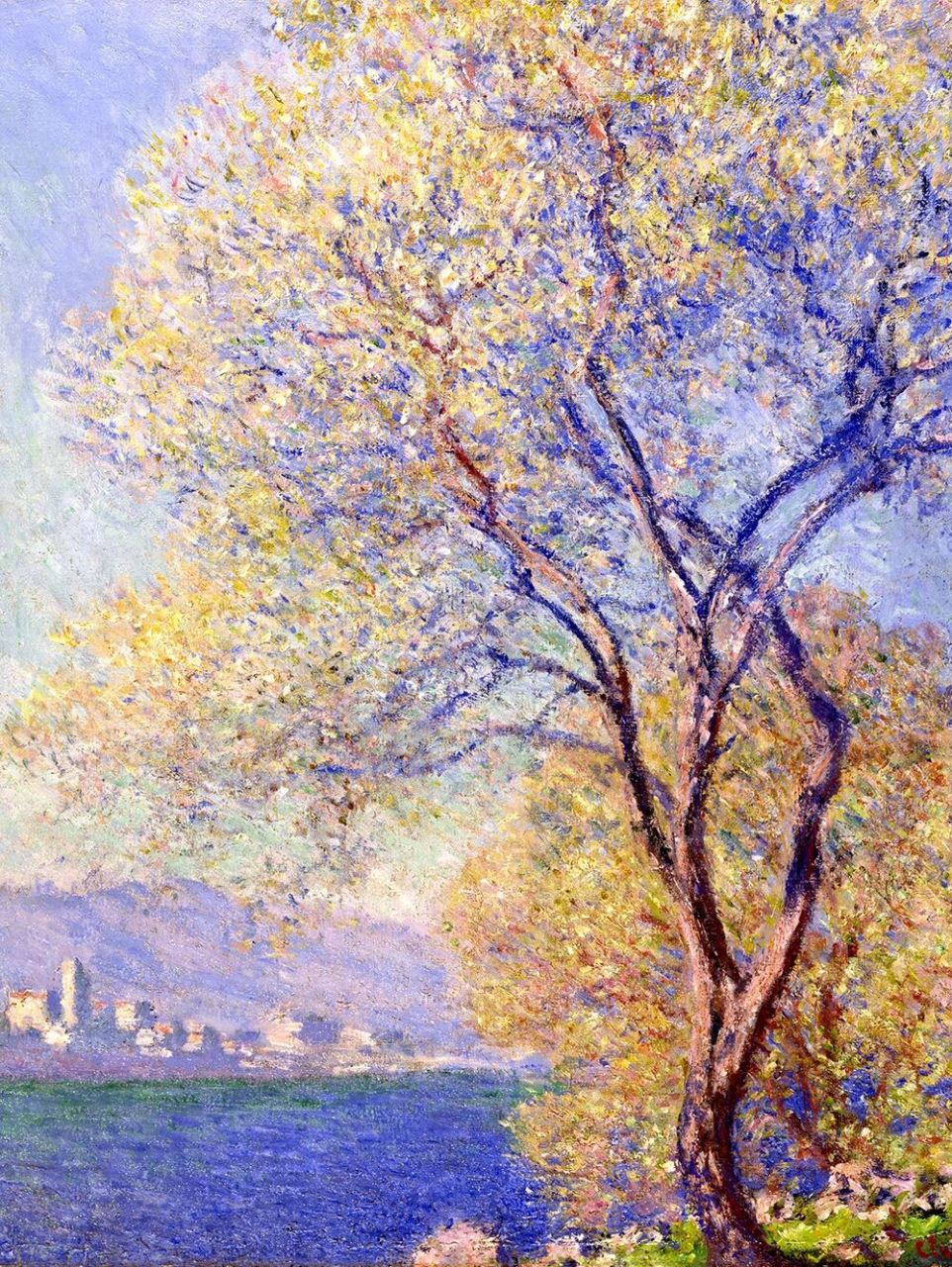 你知道莫奈的画作有哪些——第8幅 98名       字:《从萨利斯花园看