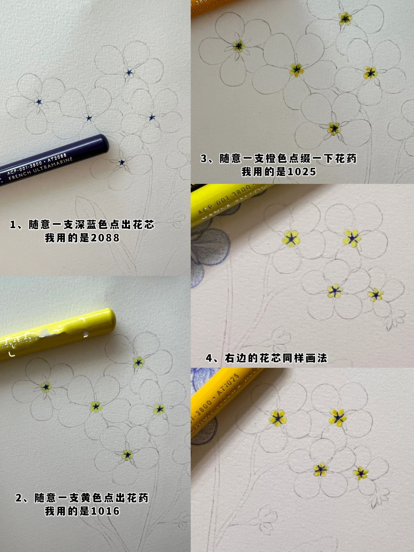 彩铅花卉——勿忘我,附步骤图