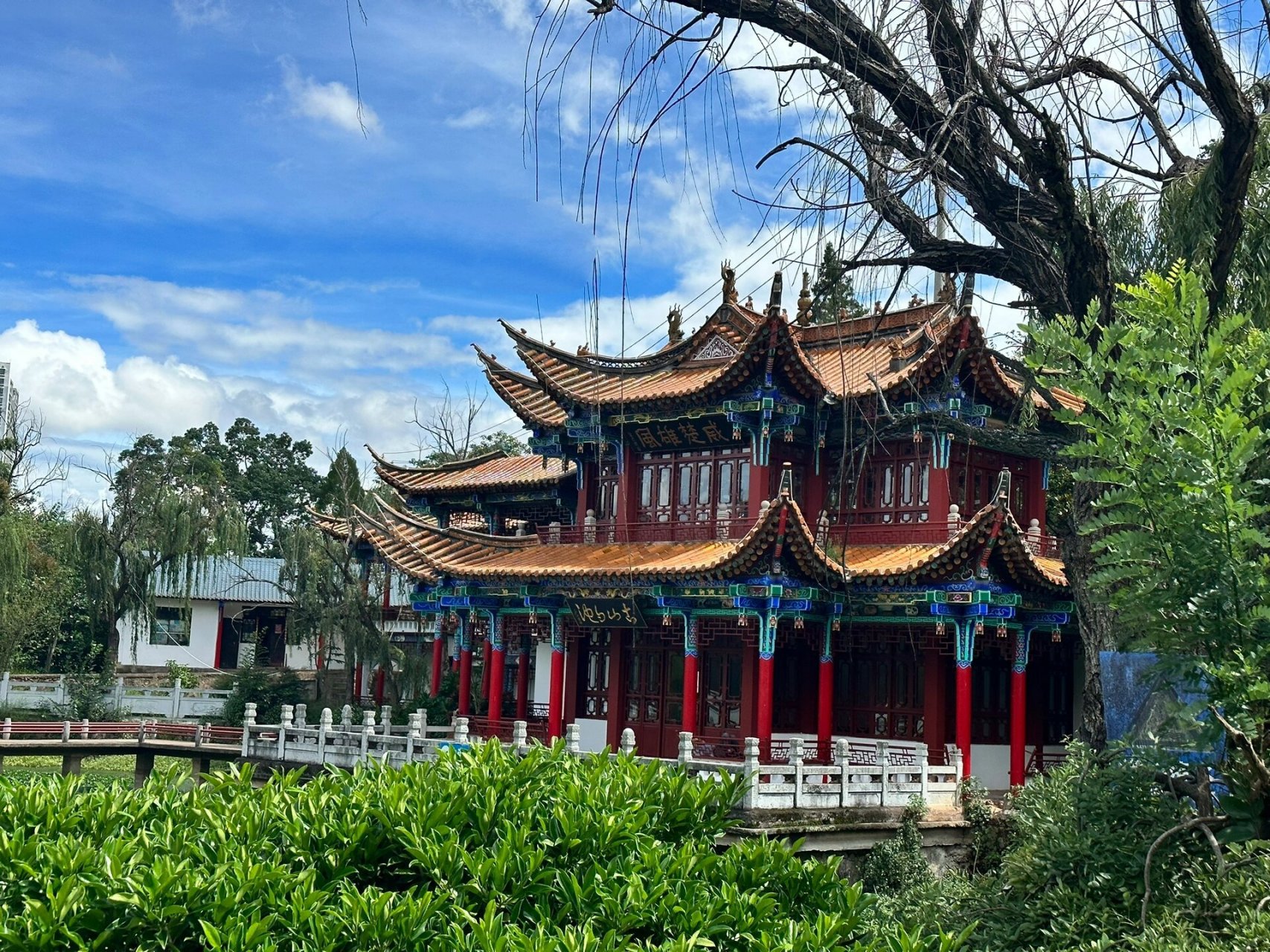 峨碌公园秘境|楚雄西山 哈咯,大家晚上好呀 98平时遛娃去西山公园就