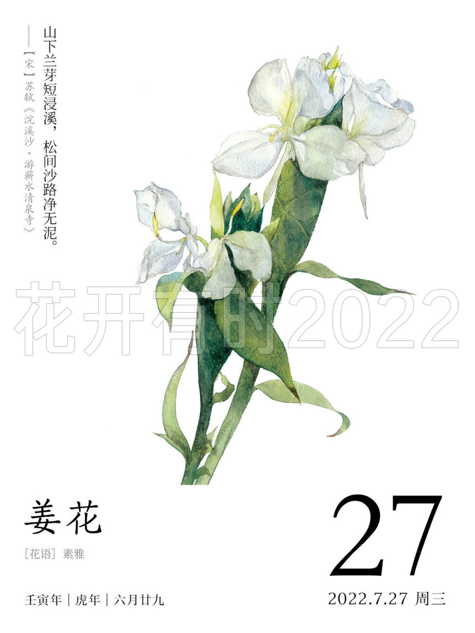 今天的花语—姜花 花语:素雅 插图作者:dodolog 爱它的恬淡,它的简单