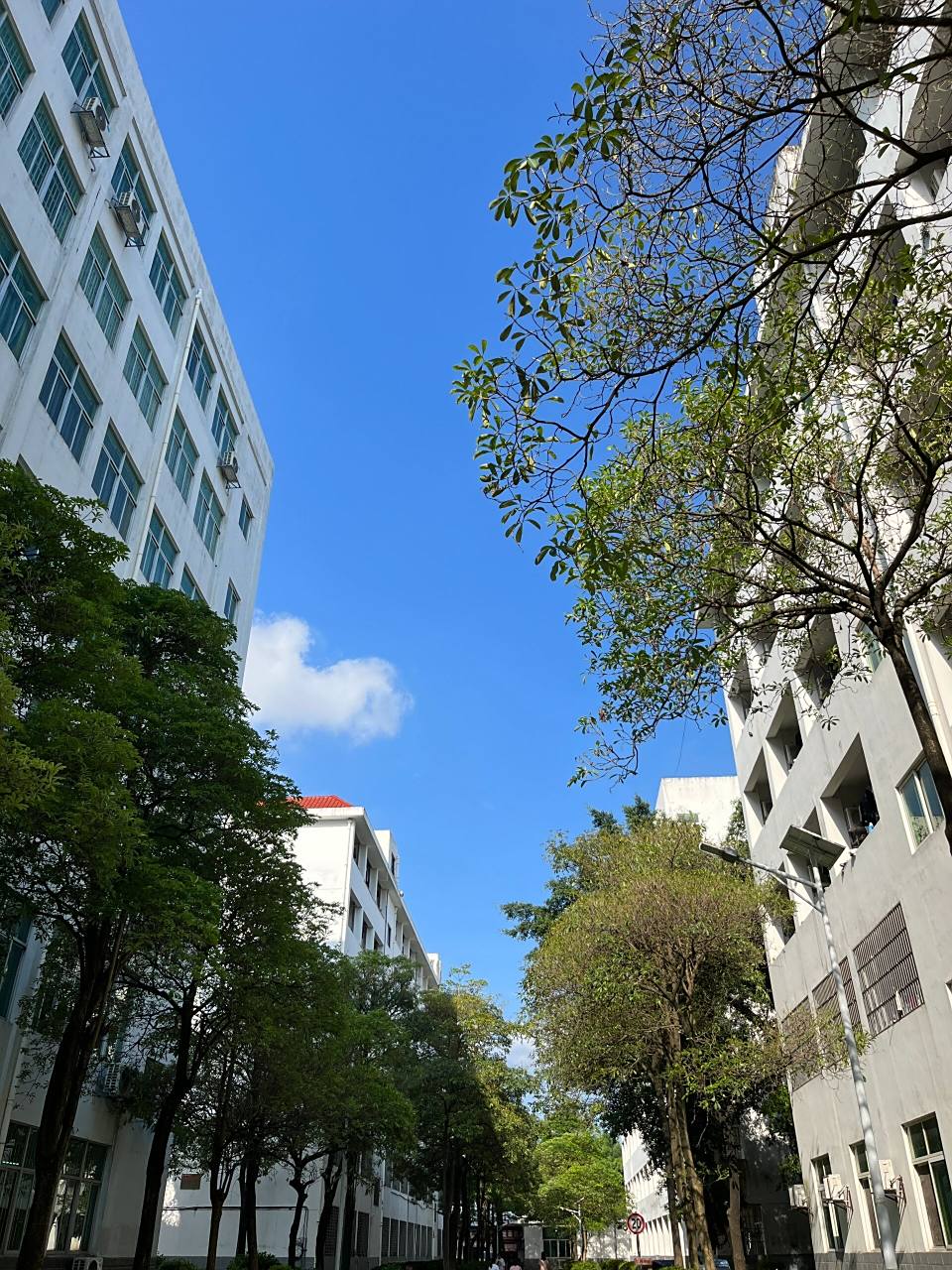 闽南科技学院康美校区校园