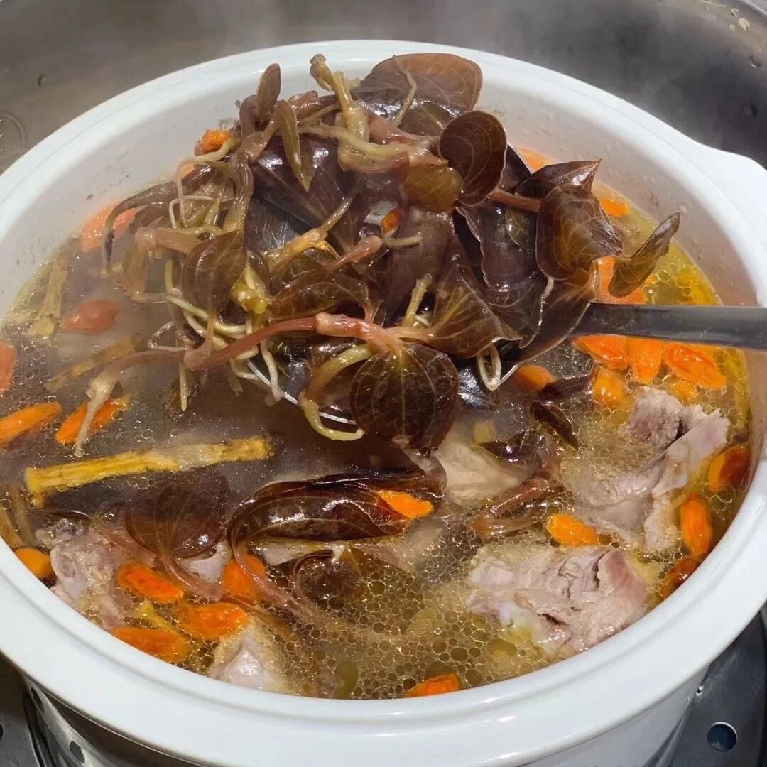 金线莲如何搭配煲汤 金线莲鸡汤94 功效:金线莲鸡汤能够有效的治疗