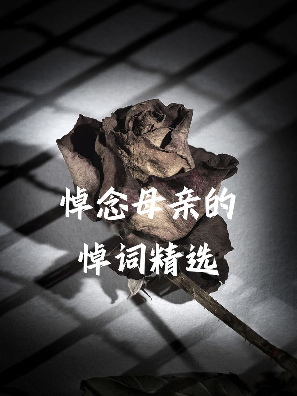 05" 2."妈妈,您的爱是我永远的庇护.92" 3.