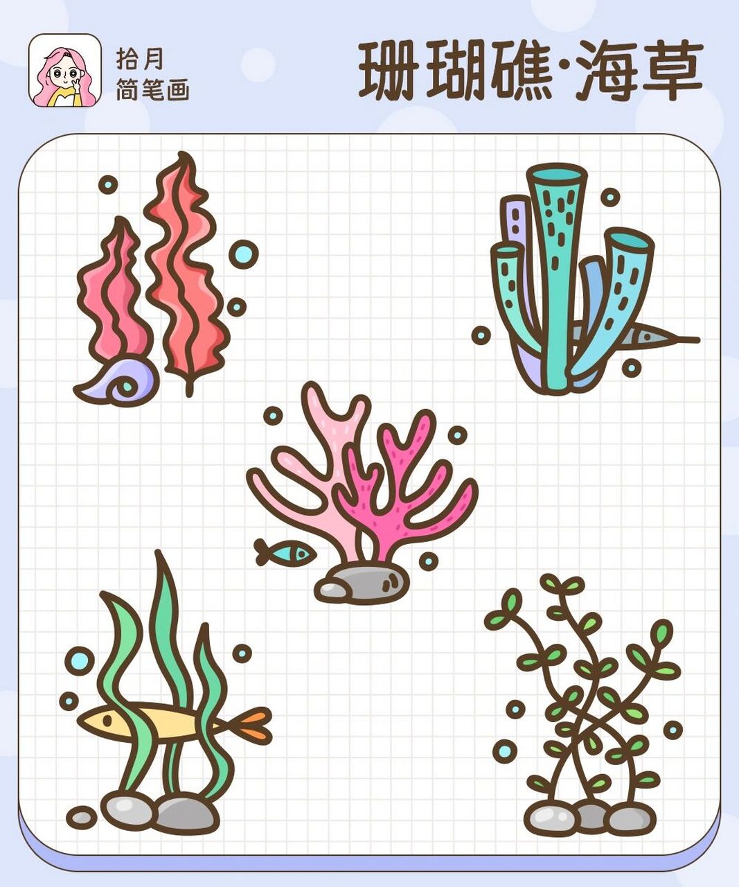 海洋植物图片简笔画图片