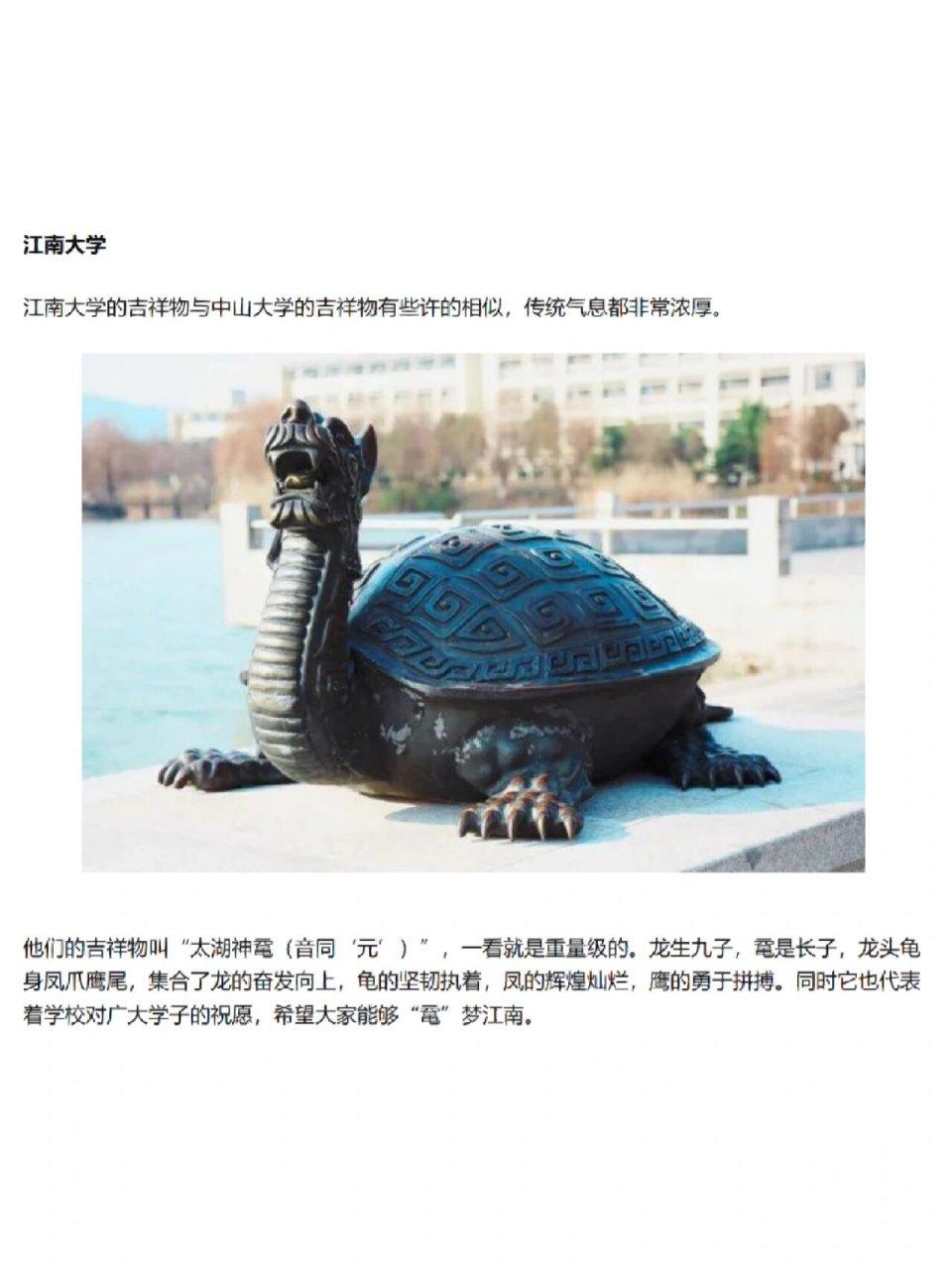 江南大学惊现太湖神鼋 就在图书馆后门小蠡湖这里 拍照的时候使劲捏着
