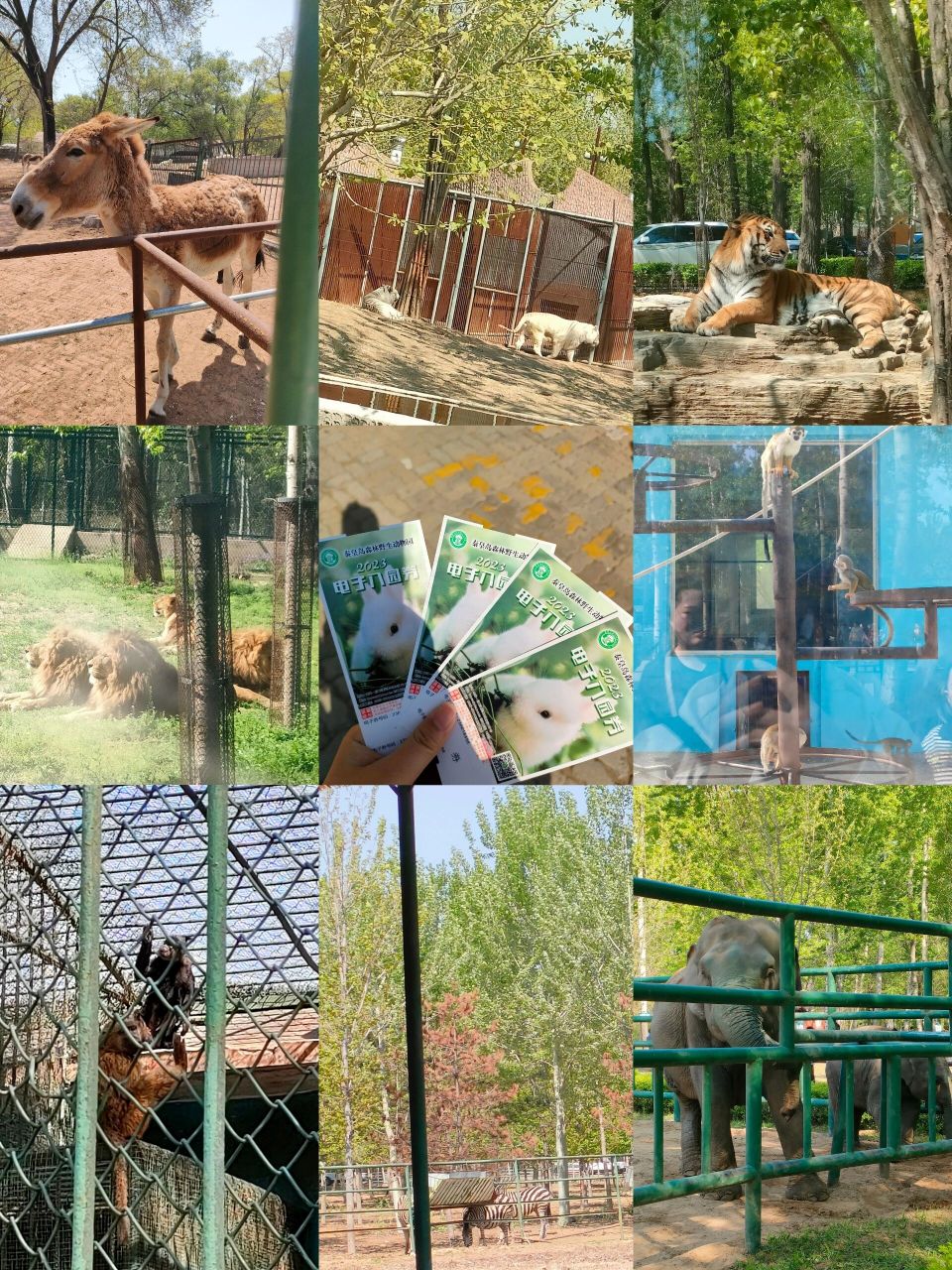秦皇岛野生动物园25元图片