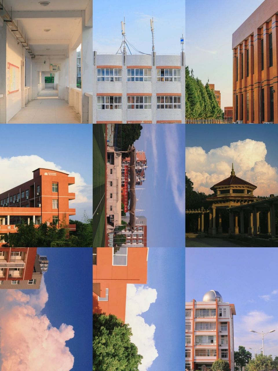 望江|望江中学94 我多想回到那个夏天, 蝉鸣在田边吹过眼睫.