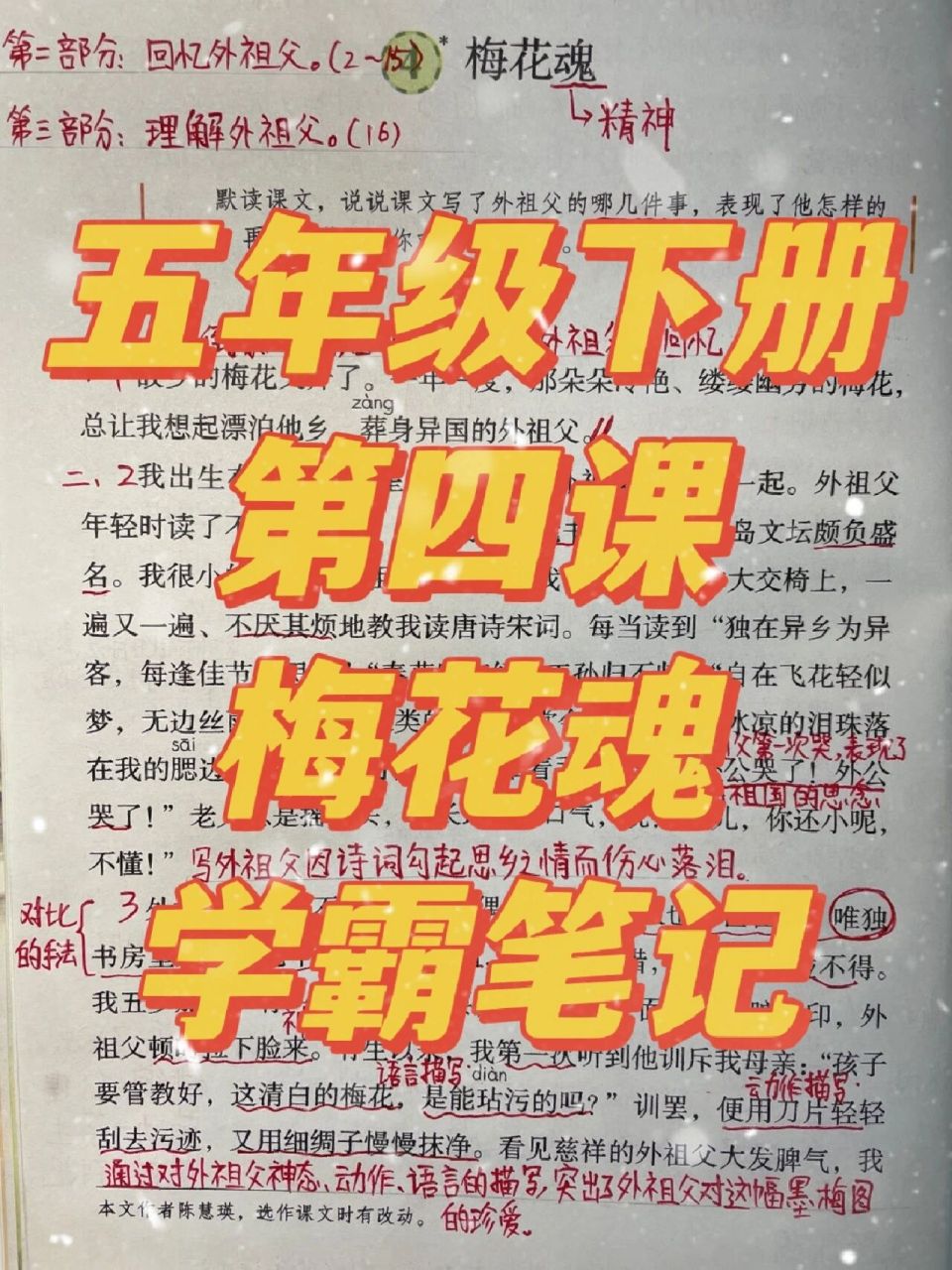 五年级下册第四课梅花魂学霸笔记 五年级下册第四课梅花魂学霸笔记
