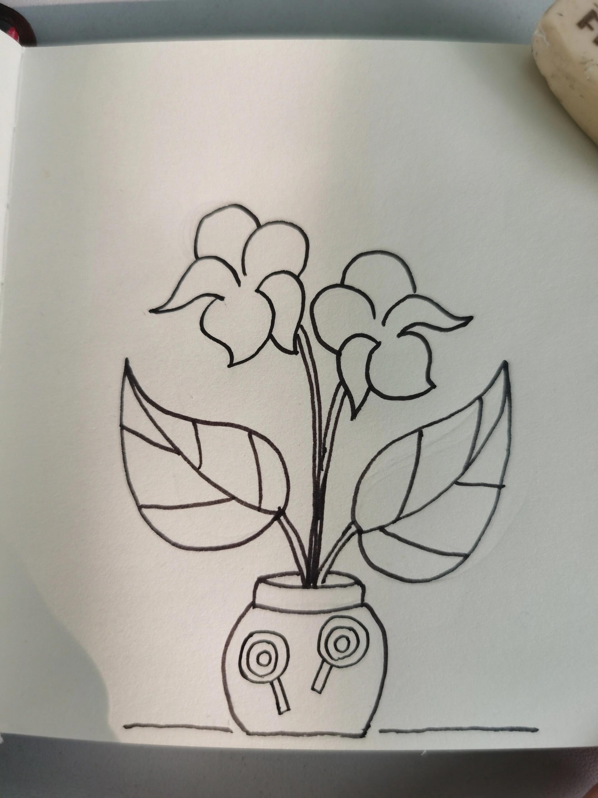 紫罗兰简笔画(有线稿)