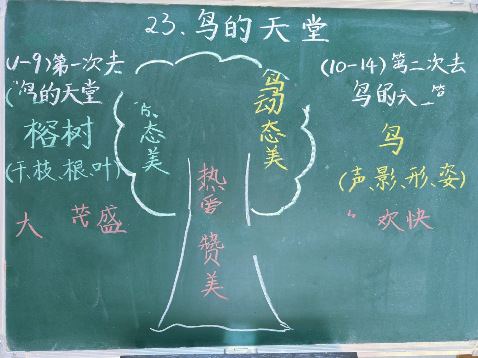 五上《鸟的天堂》板书设计 92一个小baby,能占据你所有的时间,所以