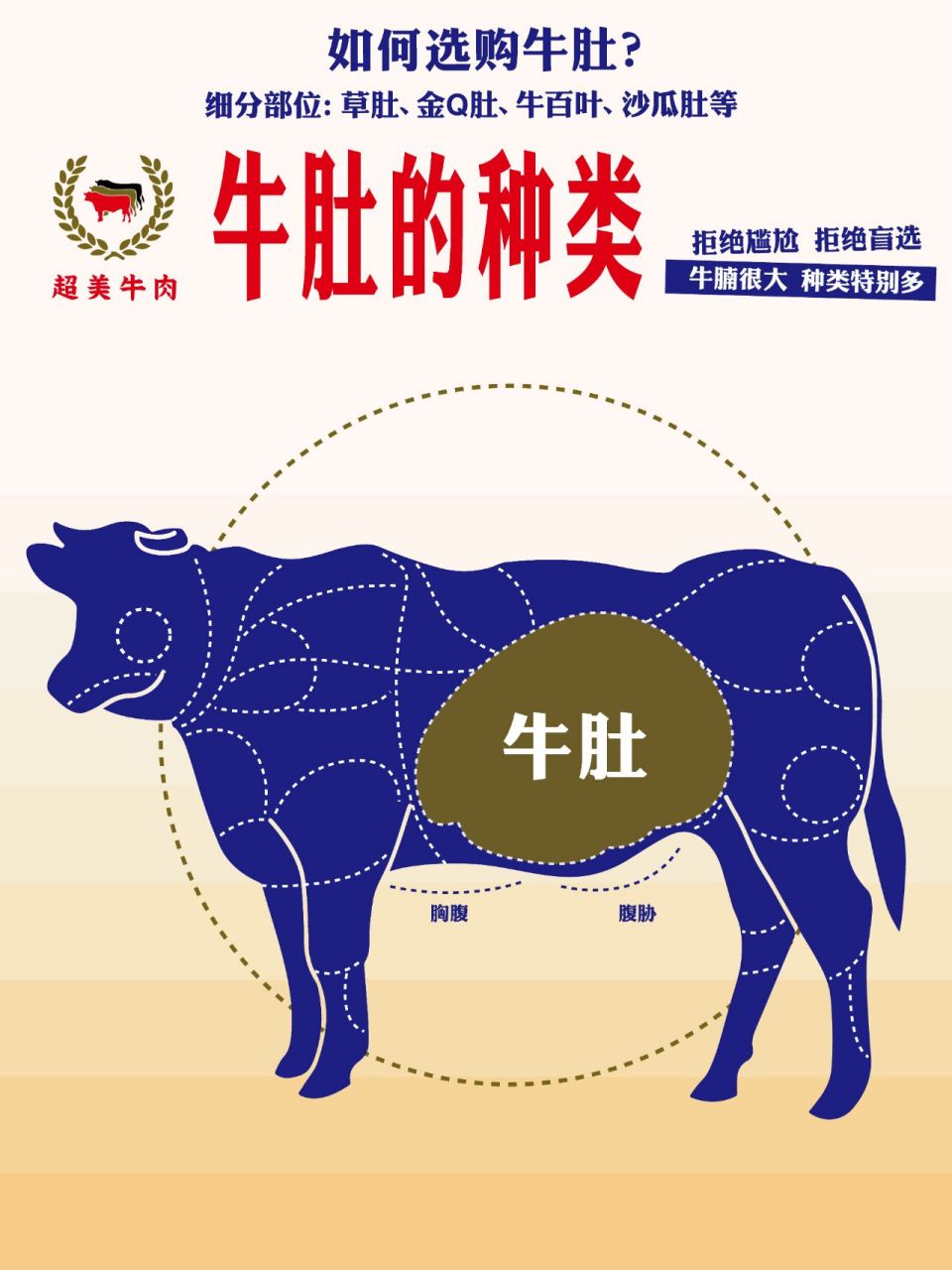 05 99牛有四个胃,而"牛肚"只是个统称,学名分别是: 瘤胃,网胃