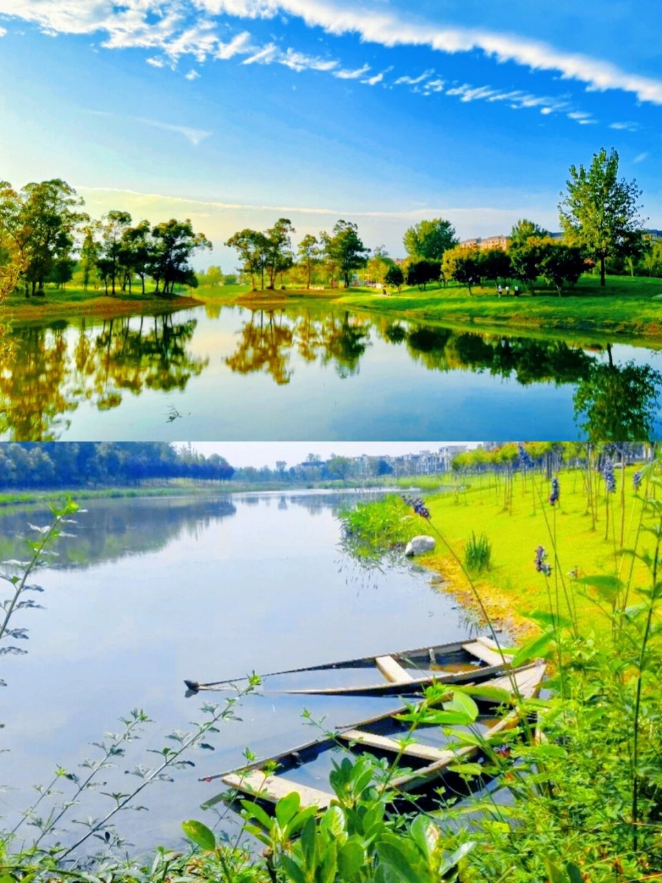 钓鱼人天堂00溜娃遛狗|两河城市森林公园 两河城市森林公园 60