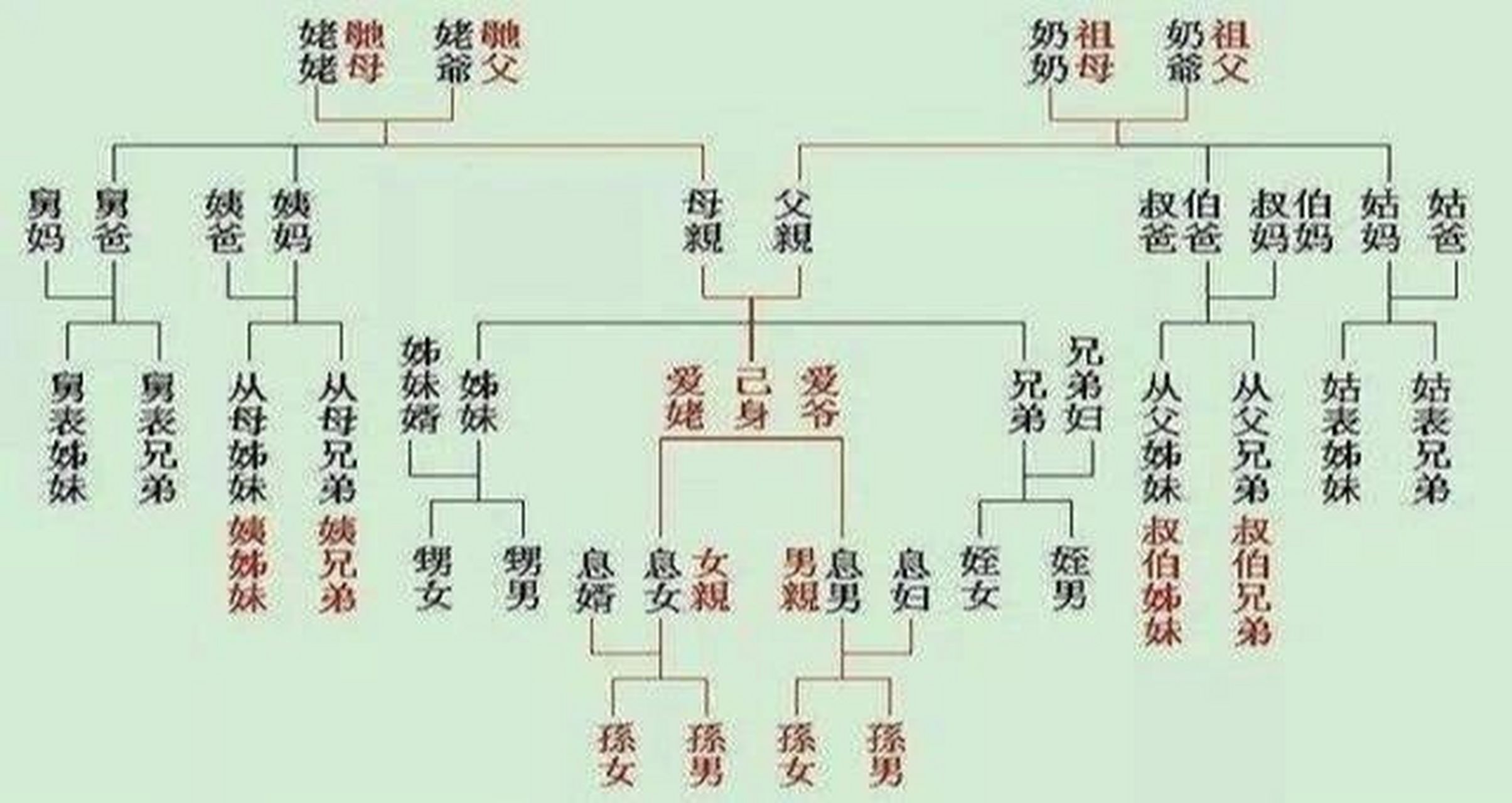家谱是一种特殊的文献,就其内容而言,是中华文明史中具有平民特色的