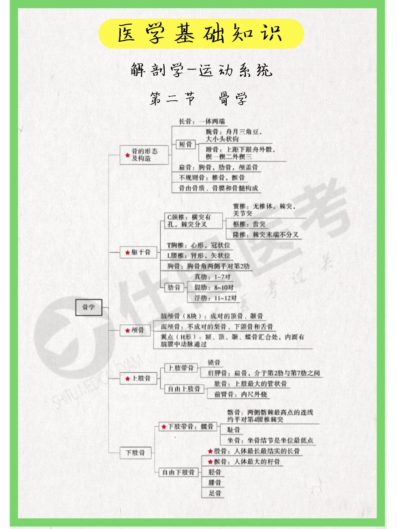 骨学的知识框架图图片