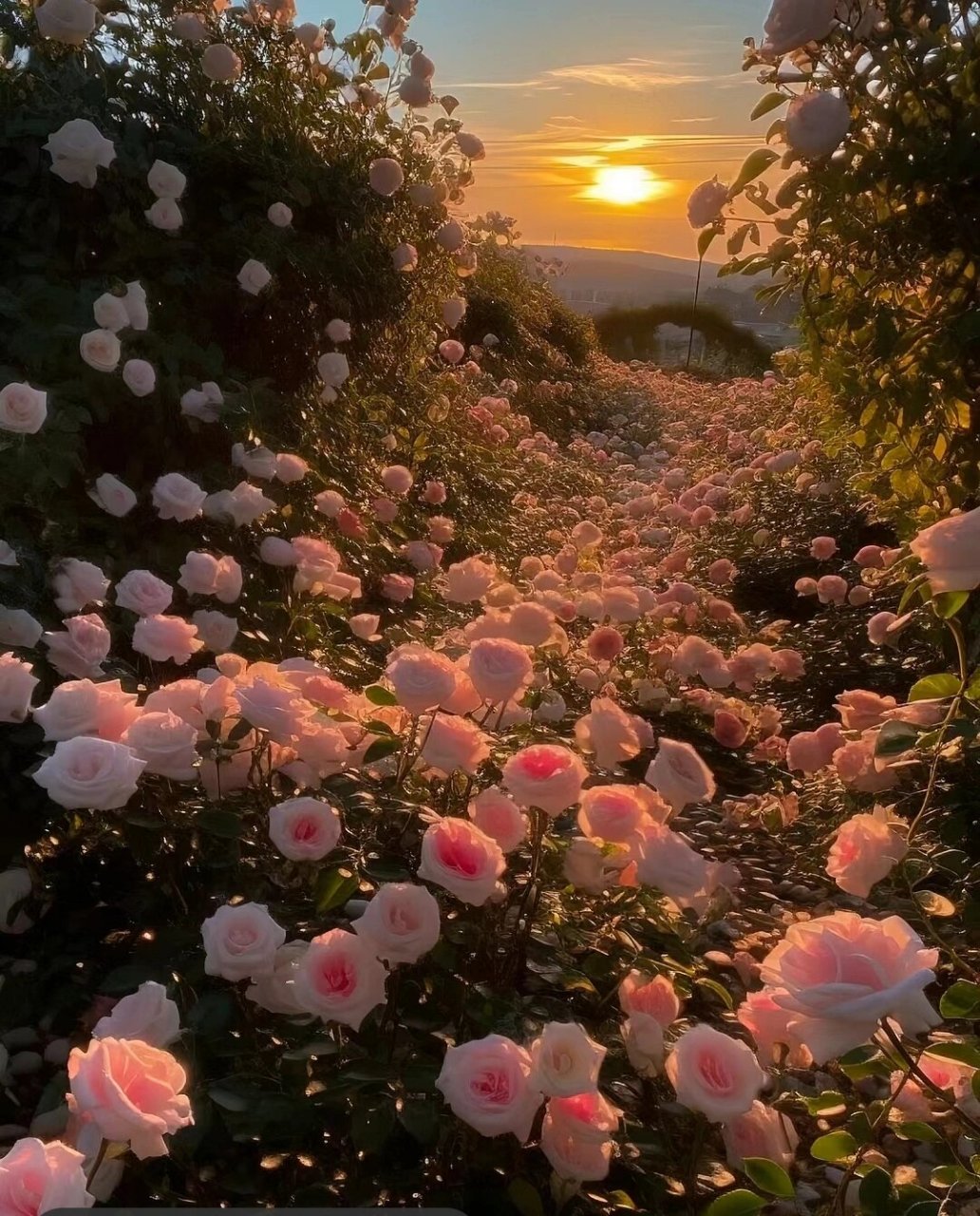 绝美风景 #氛围感鲜花壁纸# #风景# #治愈系风景# #每日壁纸# #神仙