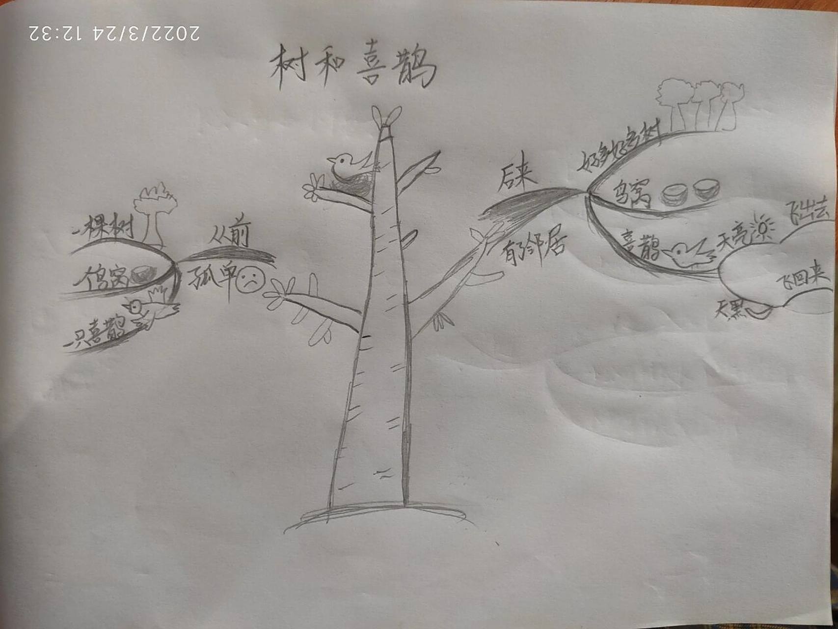 一年级语文下册《树和喜鹊》思维导图 最近被鼓励了,又拾起铅笔来画一