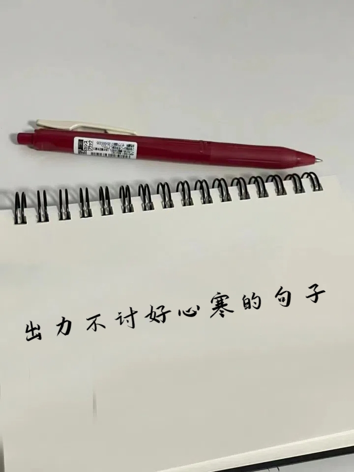 *为这种人出力,真是苦不堪言,郁闷至极,费力不讨好