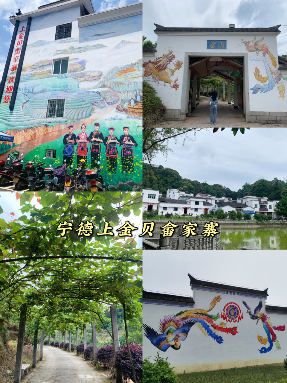 宁德上金贝畲家寨 距离宁德市区6公里驱车20分钟就能到达 上金贝是一