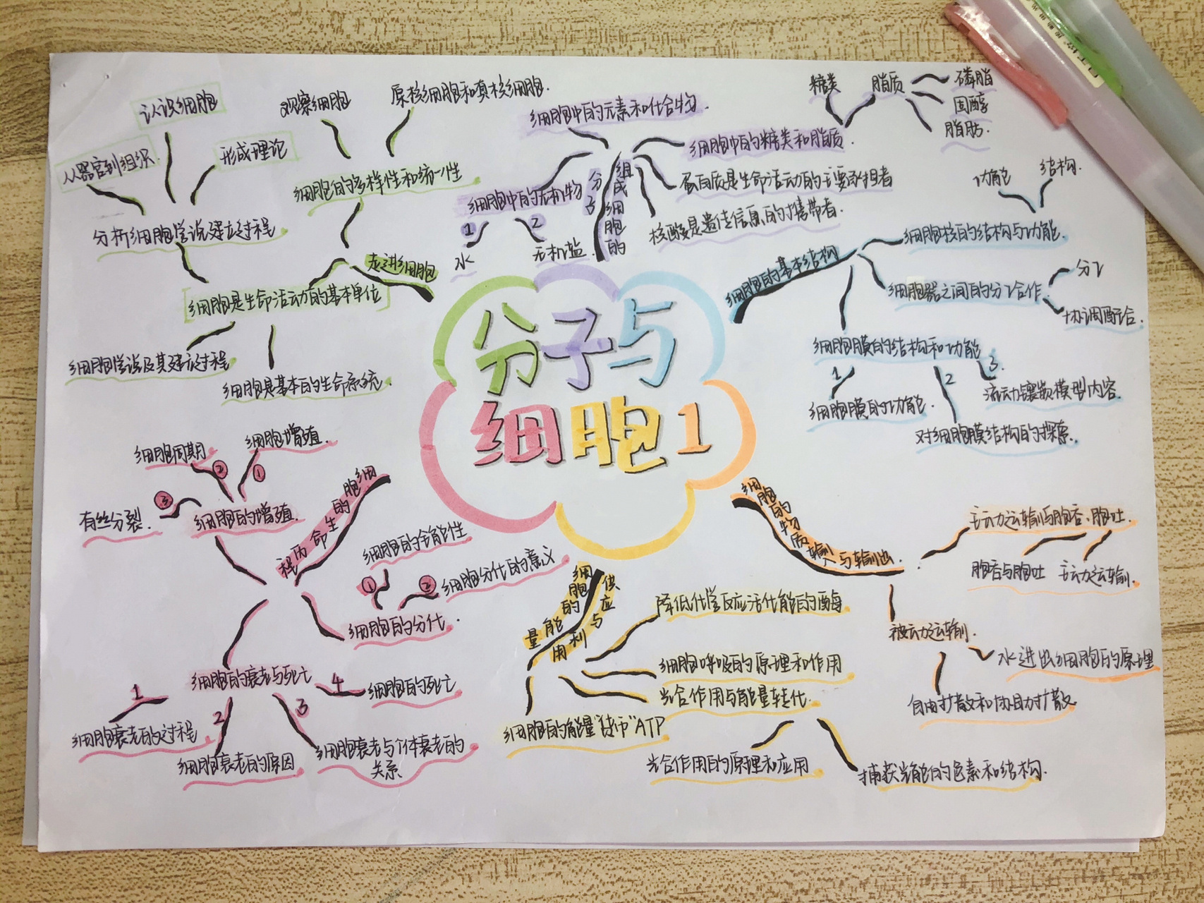 高中生物必修一思维导图✔ ⭕️荧光笔:点石易手控(金黄💛,苹