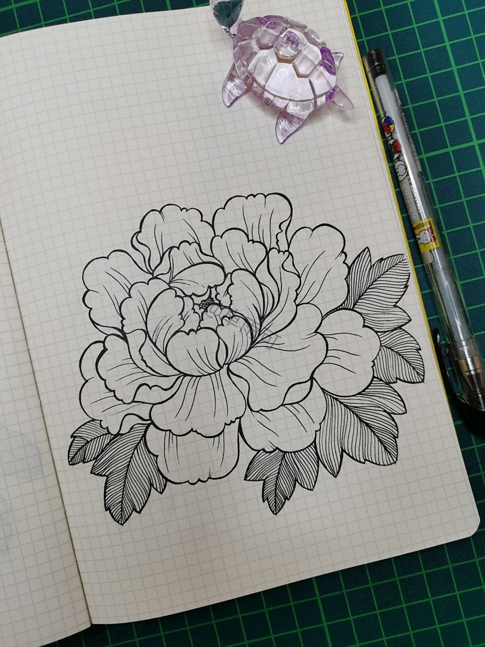 120|线描画|牡丹花 一组牡丹花的练习 	 针管笔|手绘|线描画|花卉