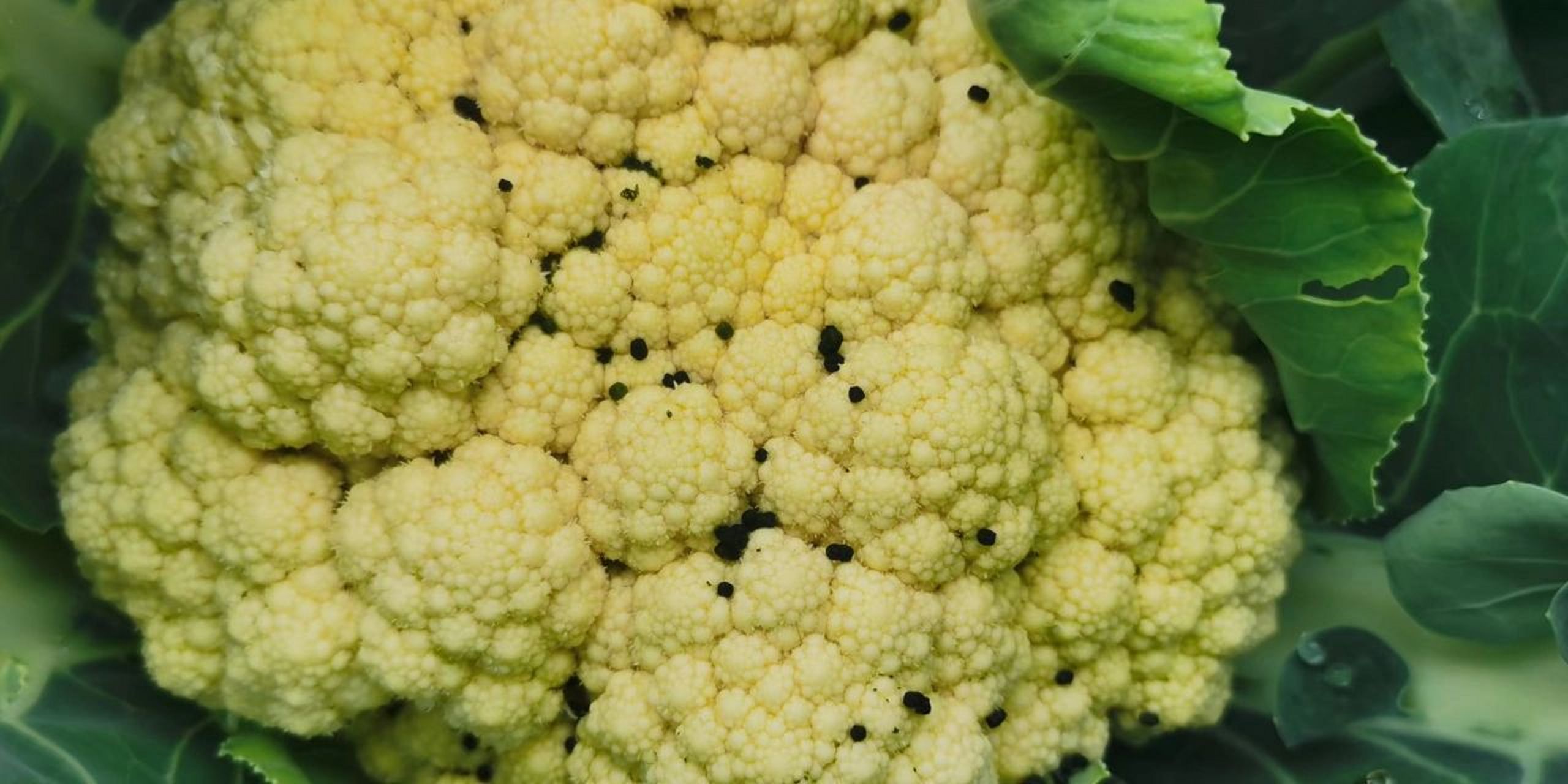 花菜上有黑点点不要慌,这是健康蔬菜的表现 如果自己买到的花菜06