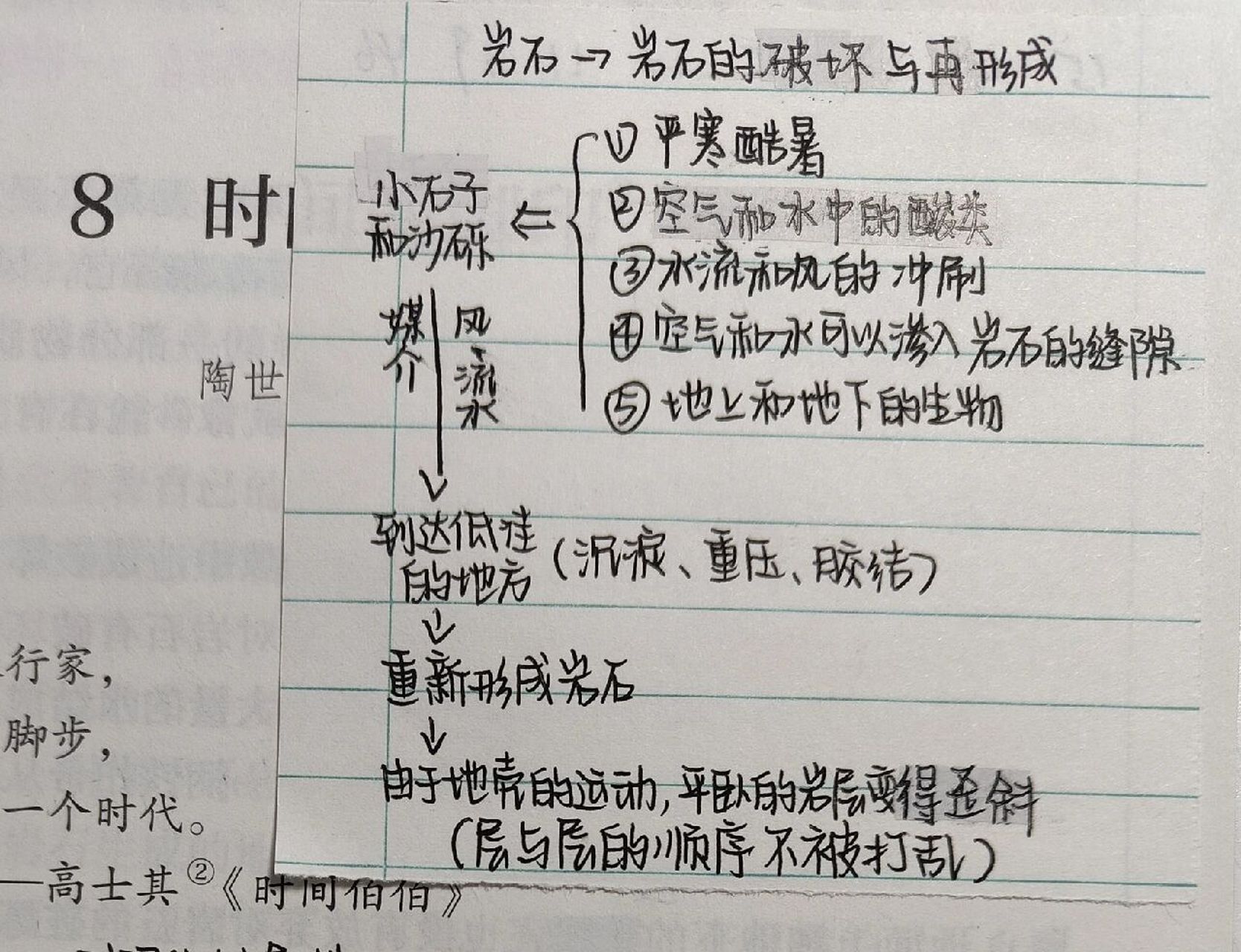 8 时间的脚印 思维导图 人教版语文八下 可以参考
