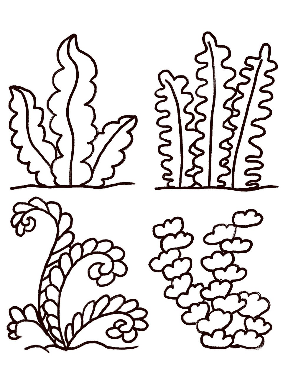 儿童简笔画——-海草简笔画线稿84 海草简笔画