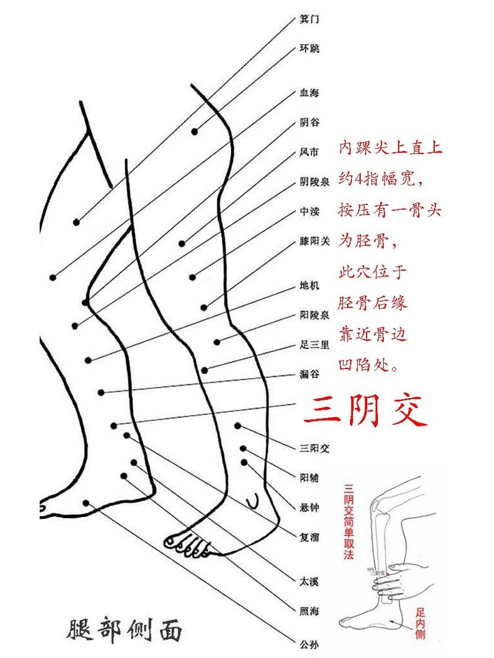 阴谷的作用图片