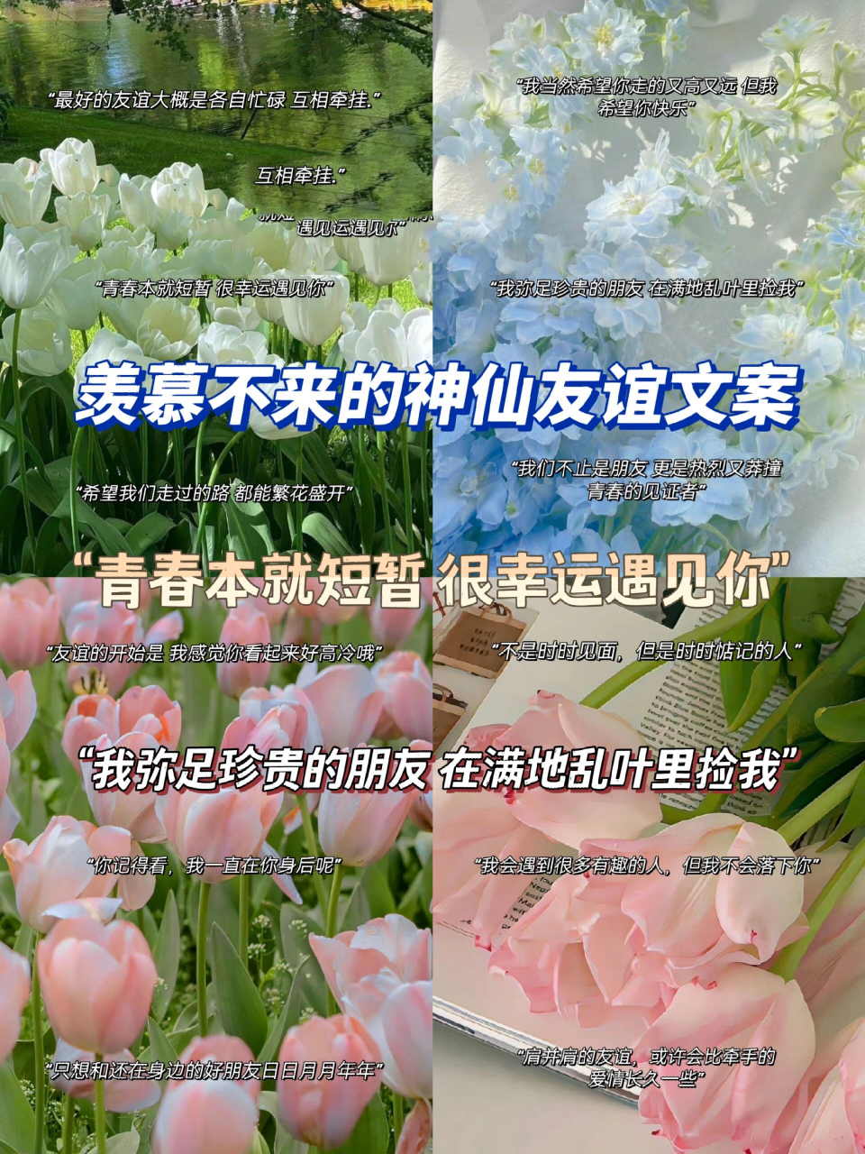 羡慕不来的神仙友谊文案 193 "最好的友谊大概是各自忙碌 互相牵挂.