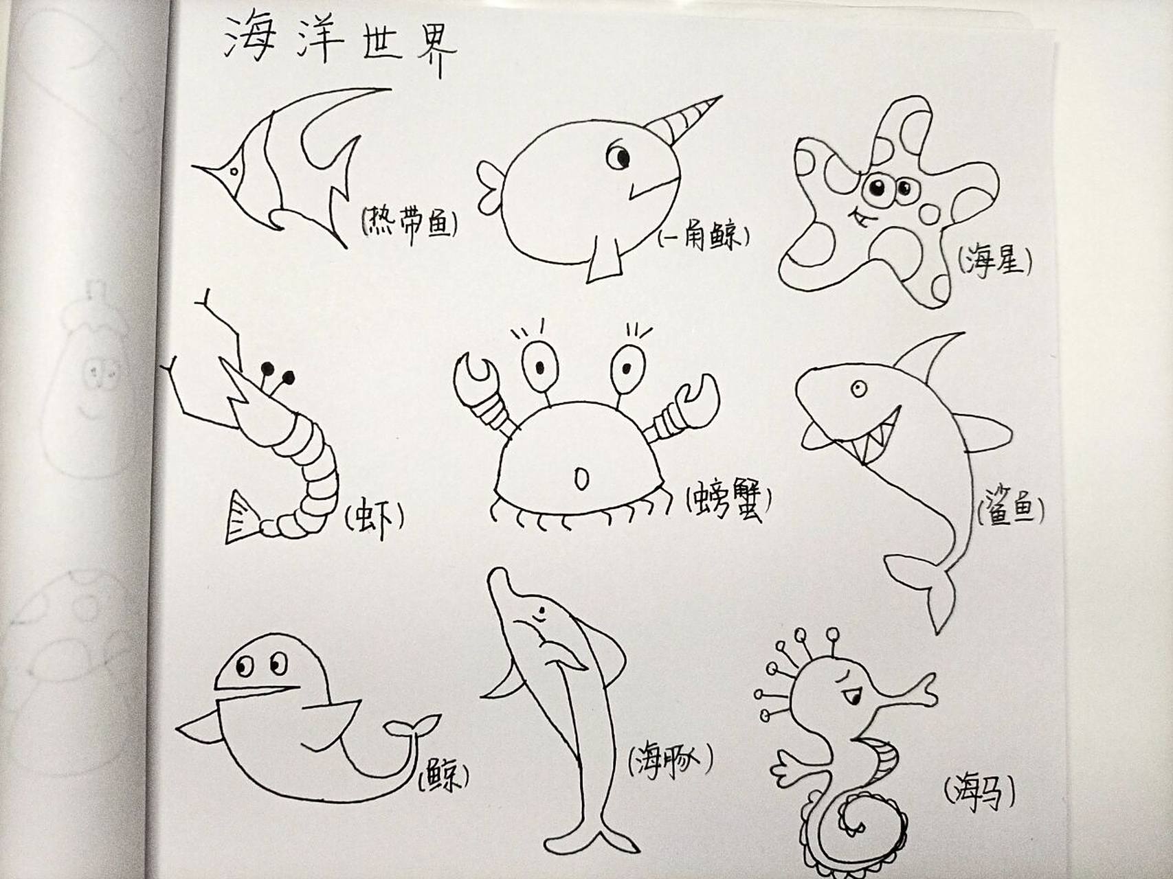 海洋世界95 简笔画 这你还不收藏点赞,各种奇形怪状的鱼9599