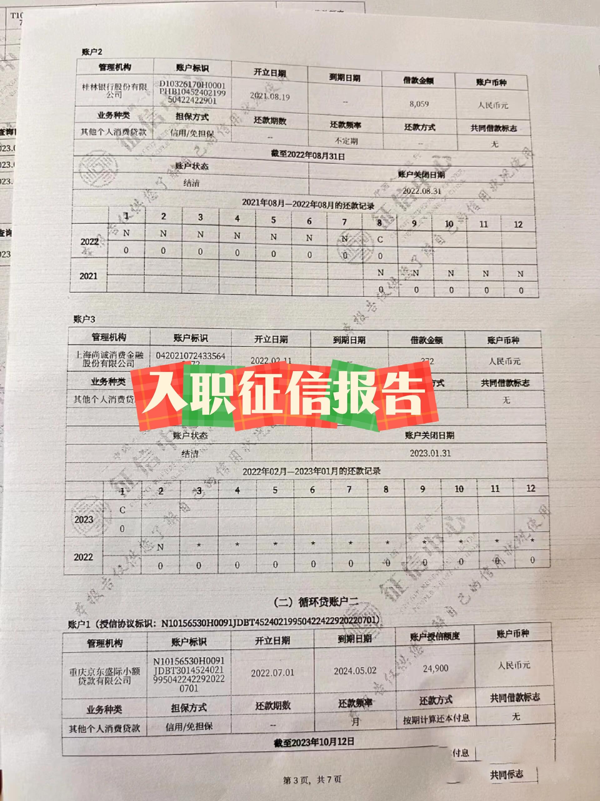 个人信用报告逾期说明(个人信用报告逾期说明怎么写)