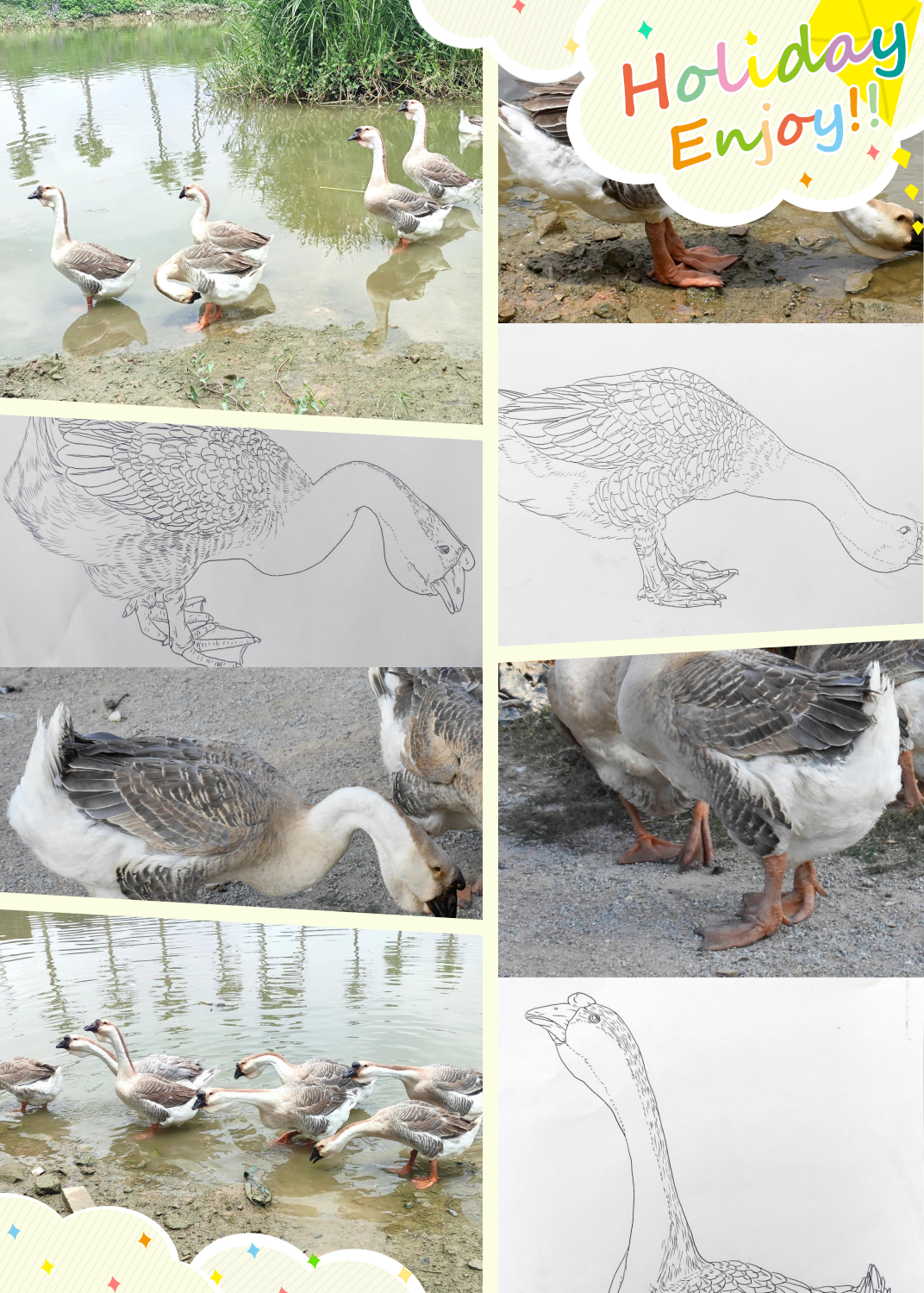 细节丰富,与原图相比,更添一份艺识  线条工笔画鹅图片工笔画鹅白描鹅