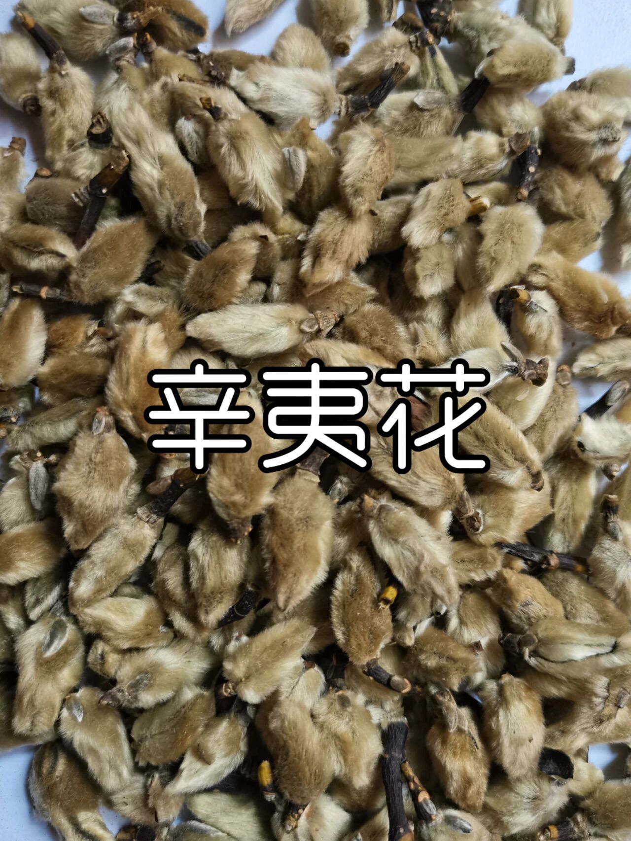 每天学习一种中药一辛夷花 辛夷花又称玉兰花,木兰花,性温,味辛,归