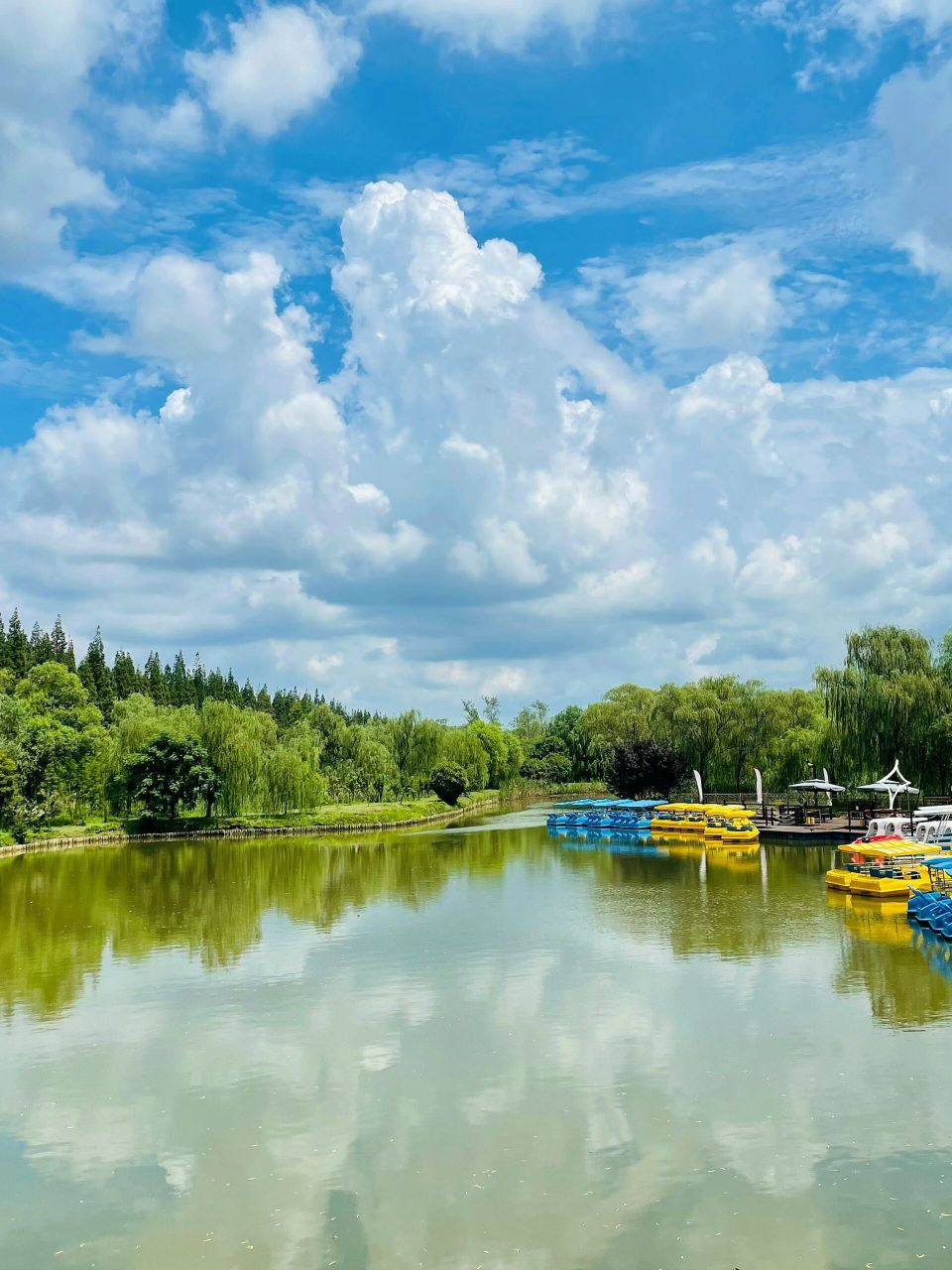 崇明西沙湿地公园图片