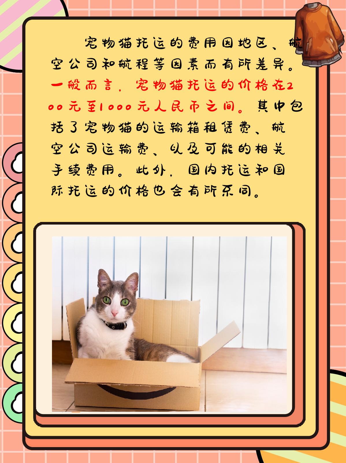 托运一只猫大概要多少钱