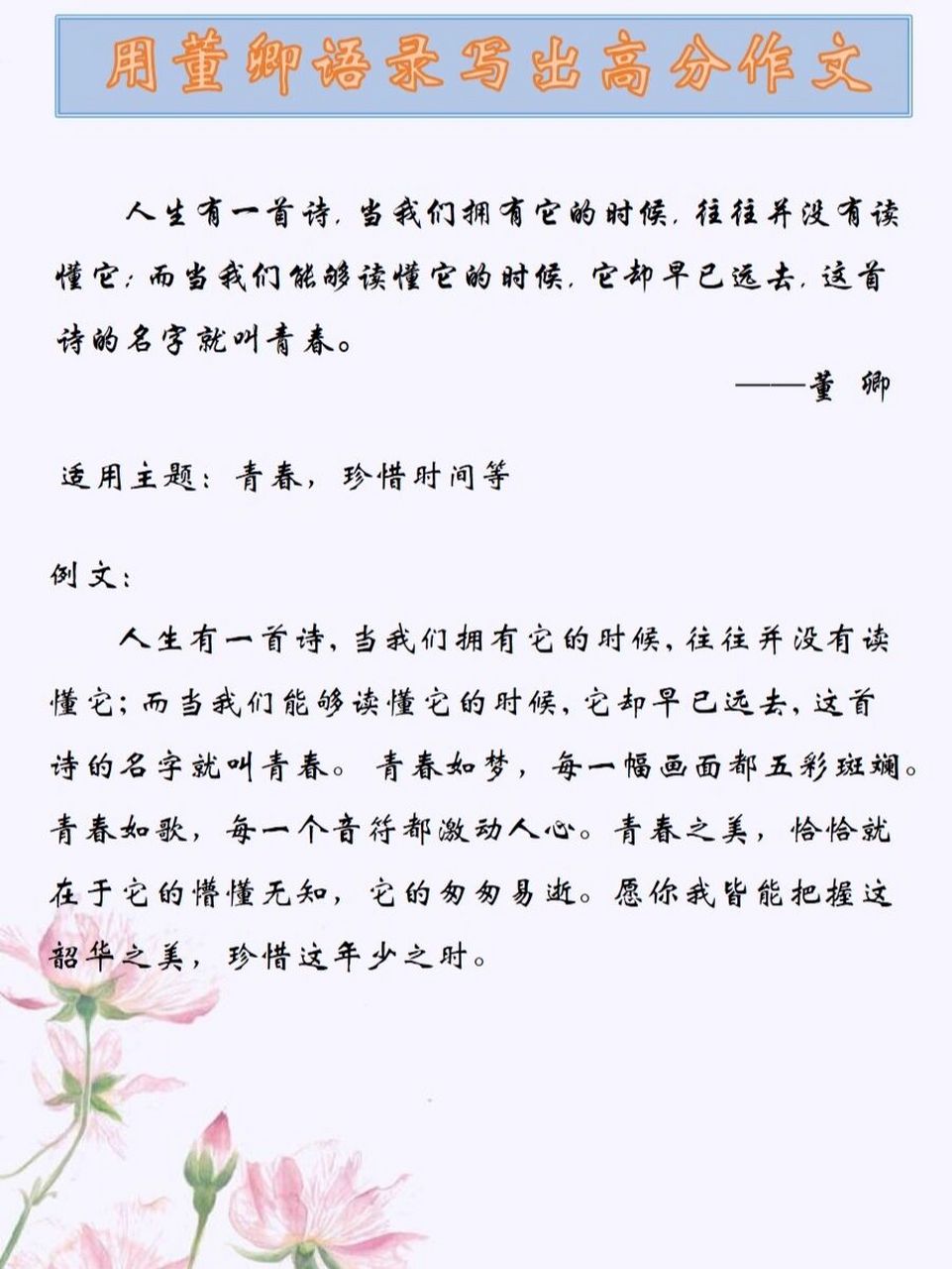 董卿神仙作文素材图片