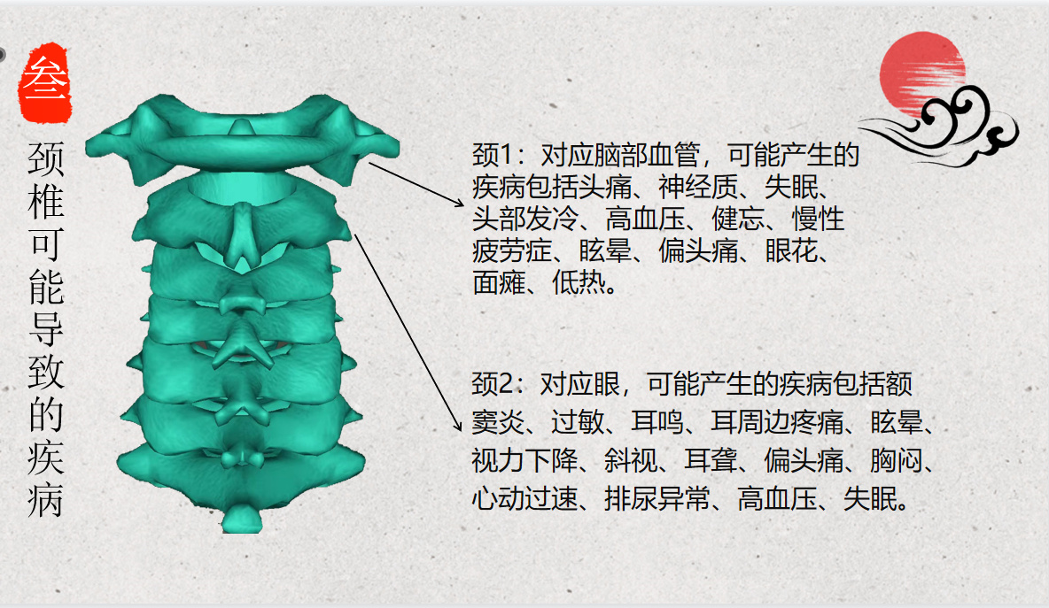 纯分享健康知识 一,【颈椎相关知识】 颈椎第一节,风池穴两侧,寰椎