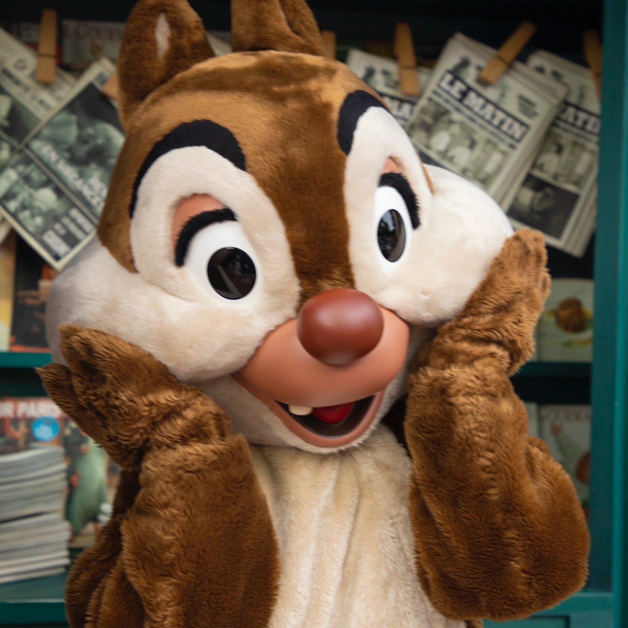 花栗鼠头像11.26