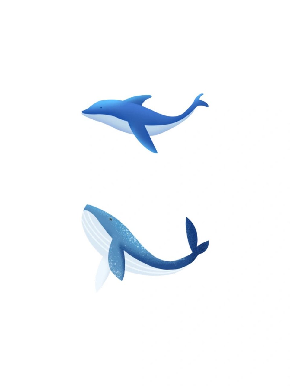 卡通素材|海洋鲸鱼免抠png设计素材必备 🌈哈喽~宝子们,今天特意给