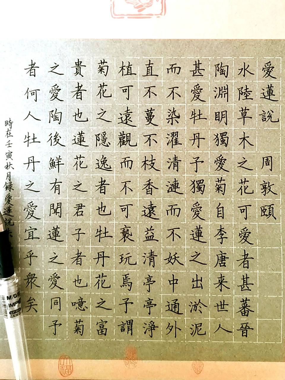 硬笔书法《爱莲说》周敦颐 90笔:晨光0.